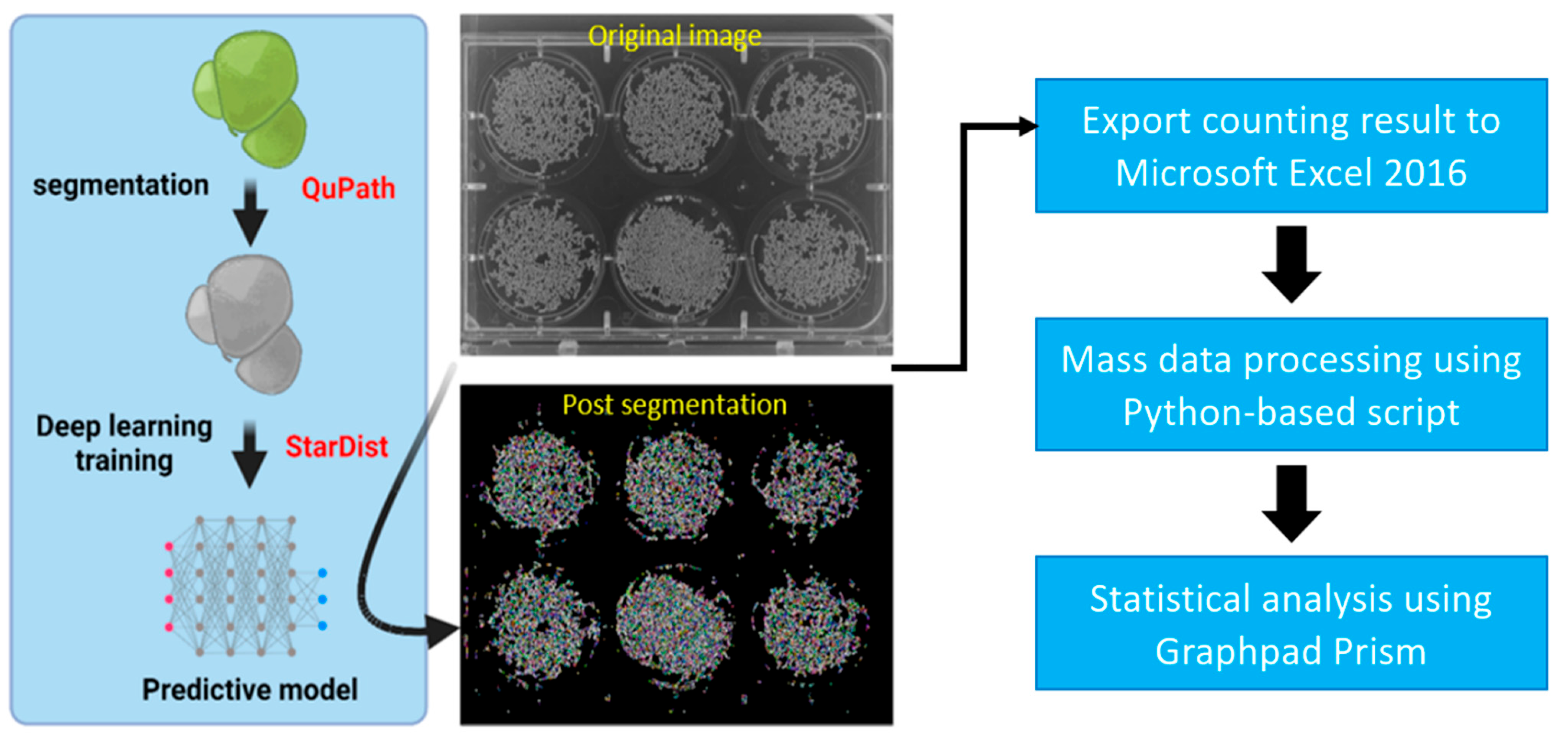 Toxics 11 00680 g001