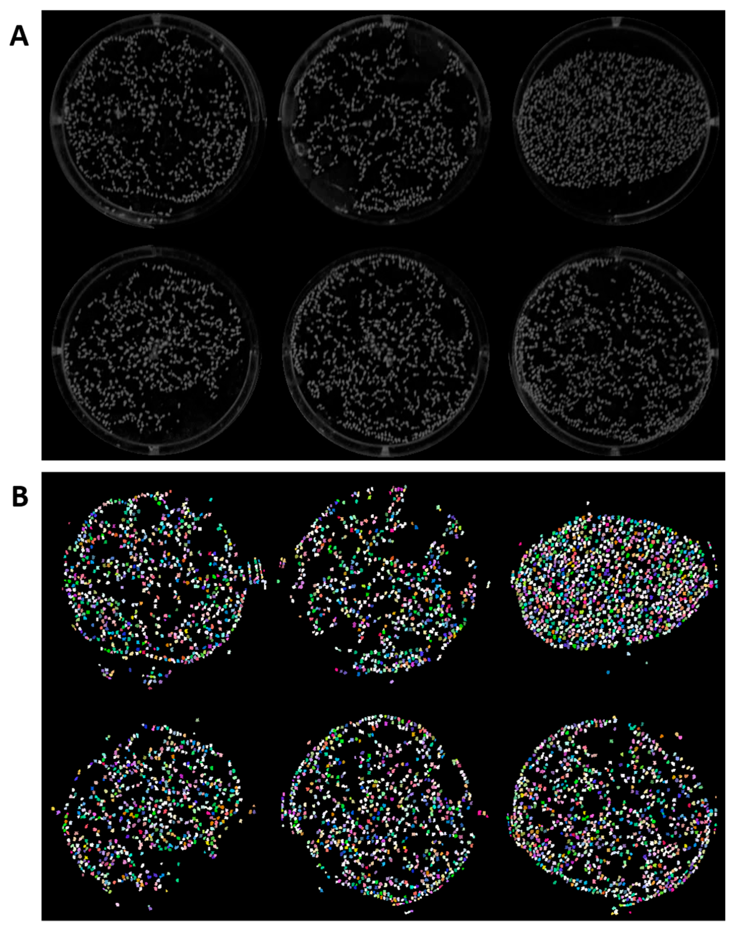Toxics 11 00680 g002