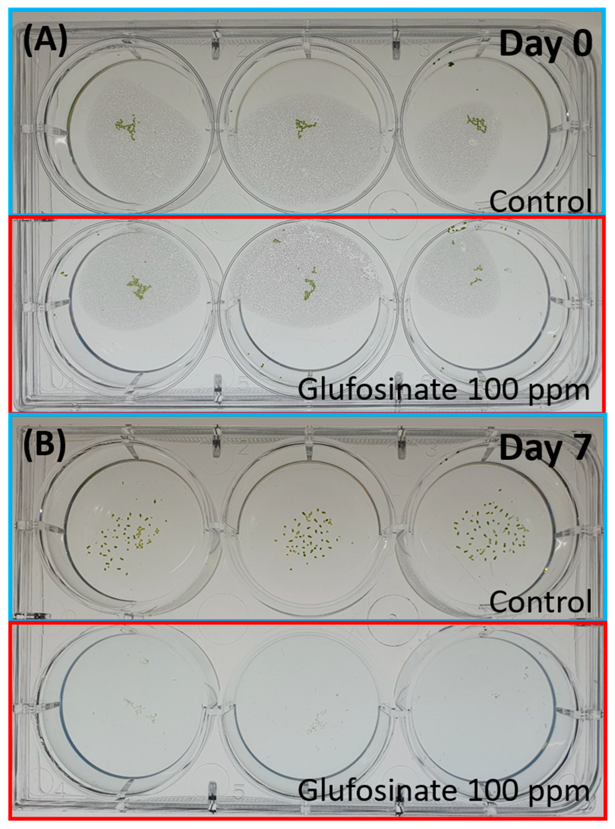 Toxics 11 00680 g005