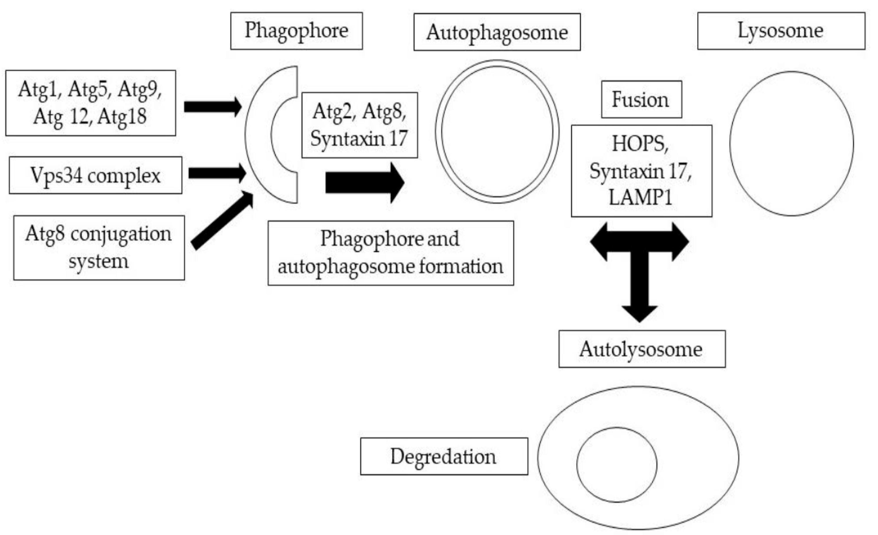 Toxics 11 00682 g001 Toxics 11 00682 g001