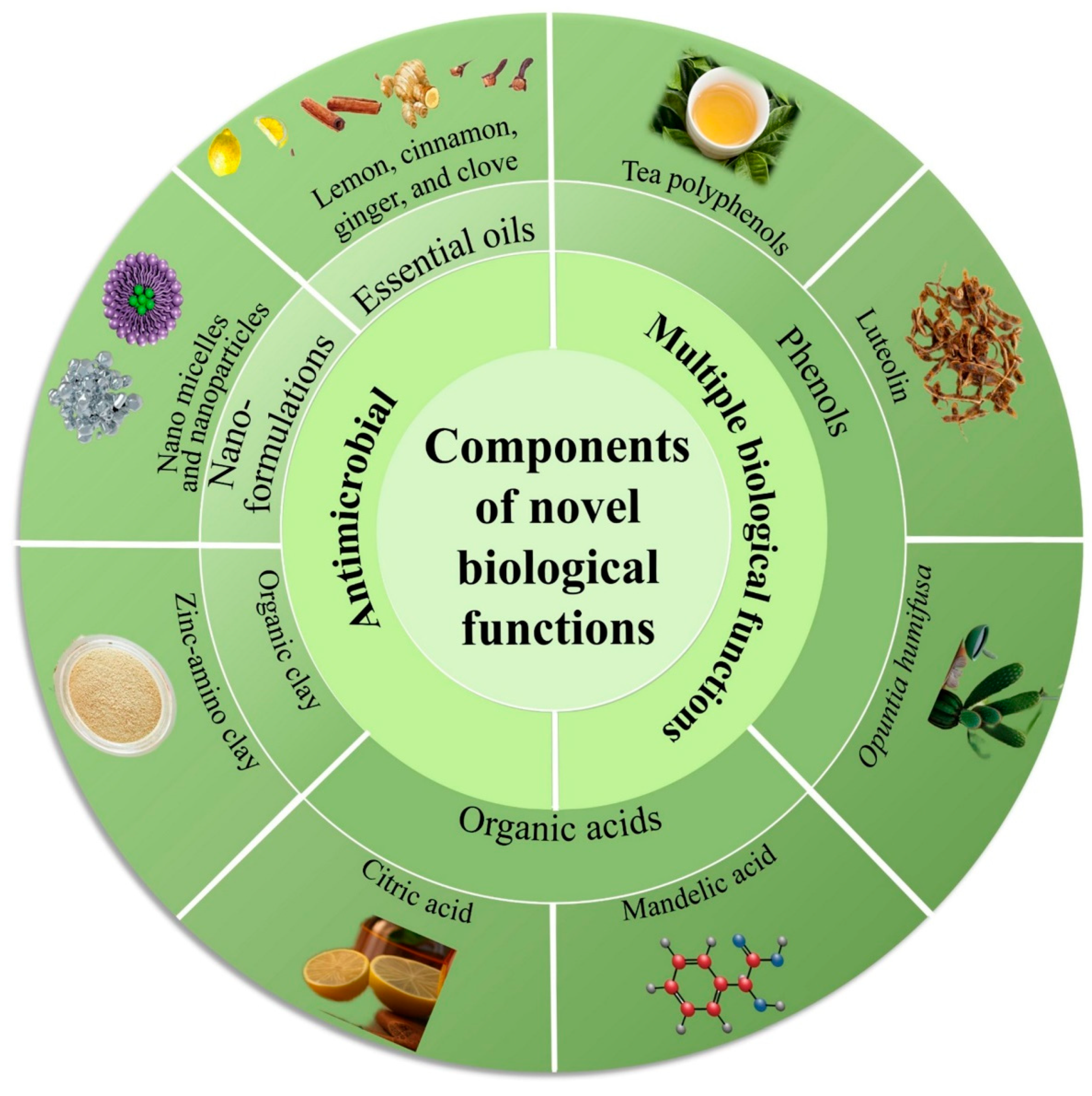 Toxics 11 00687 g003