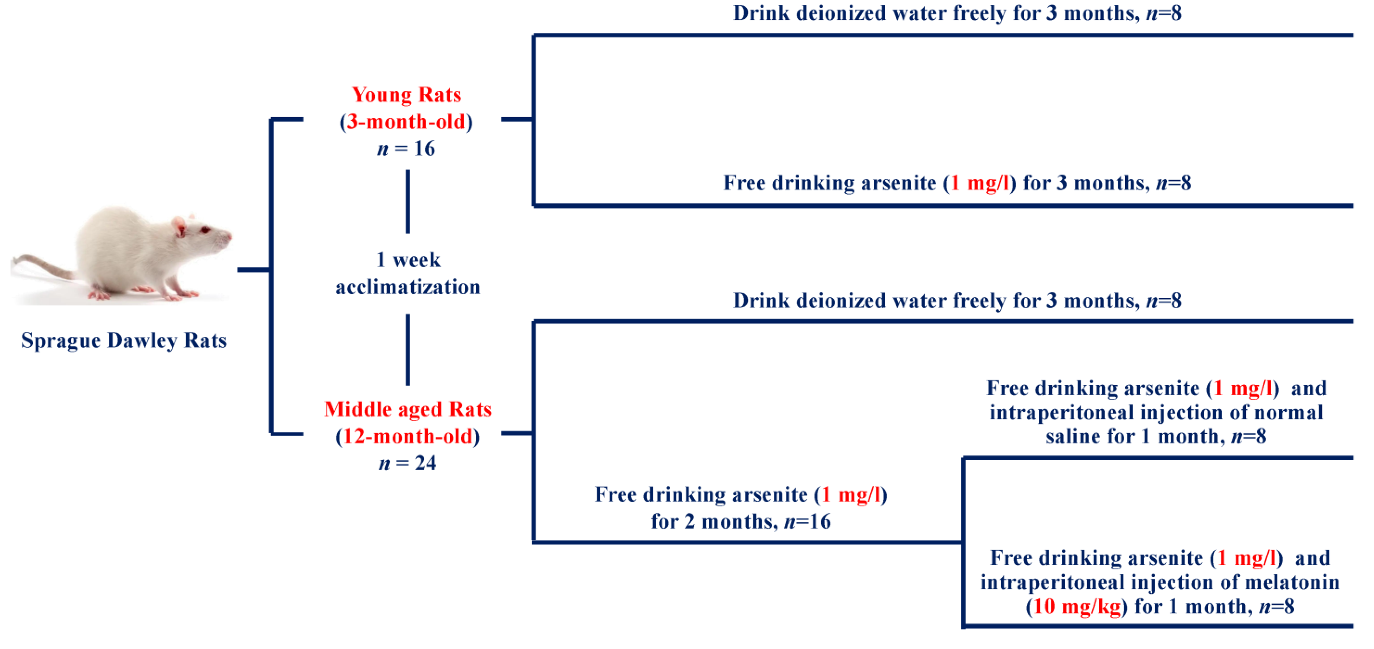 Toxics 11 00689 g001