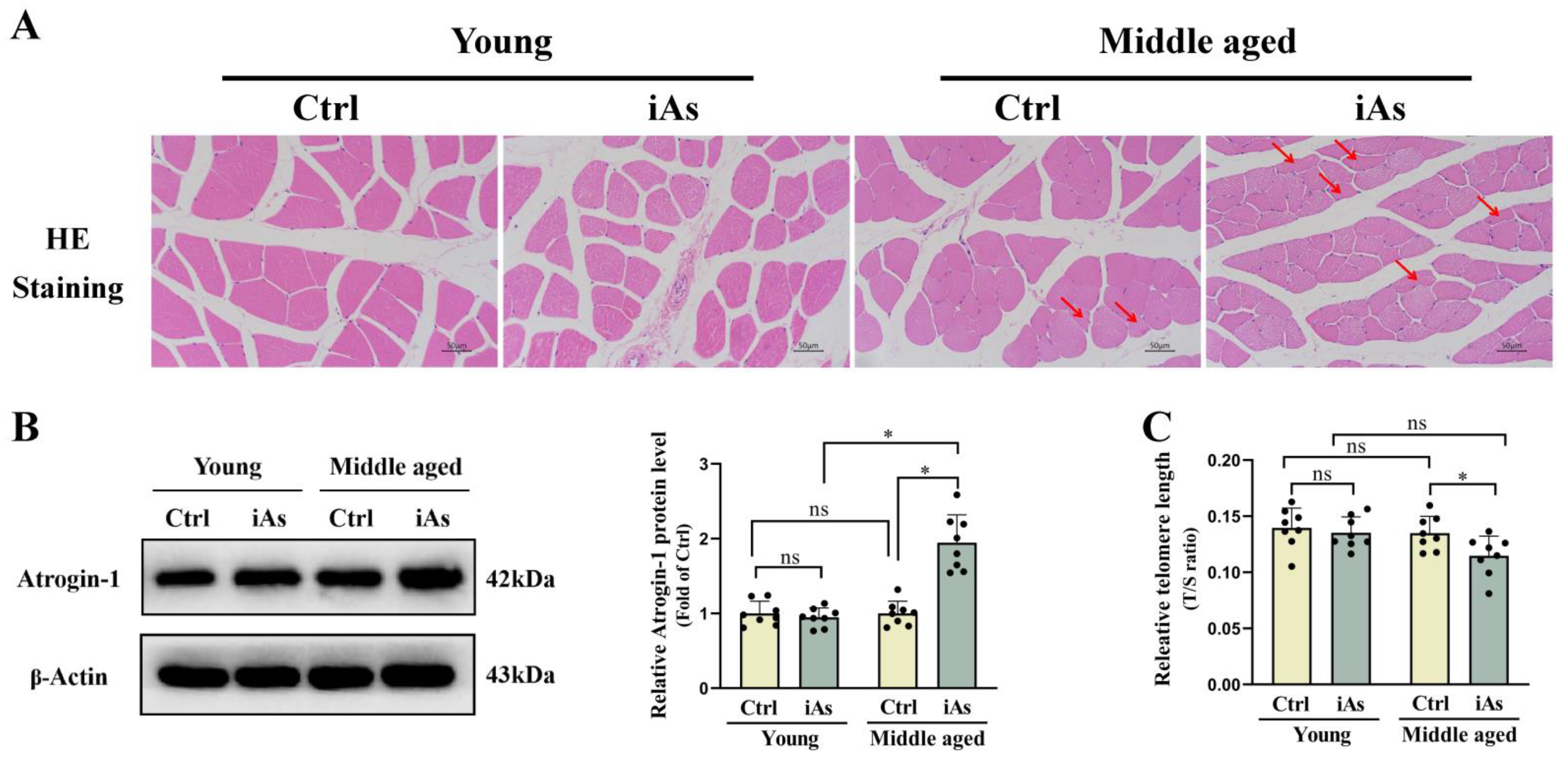 Toxics 11 00689 g003