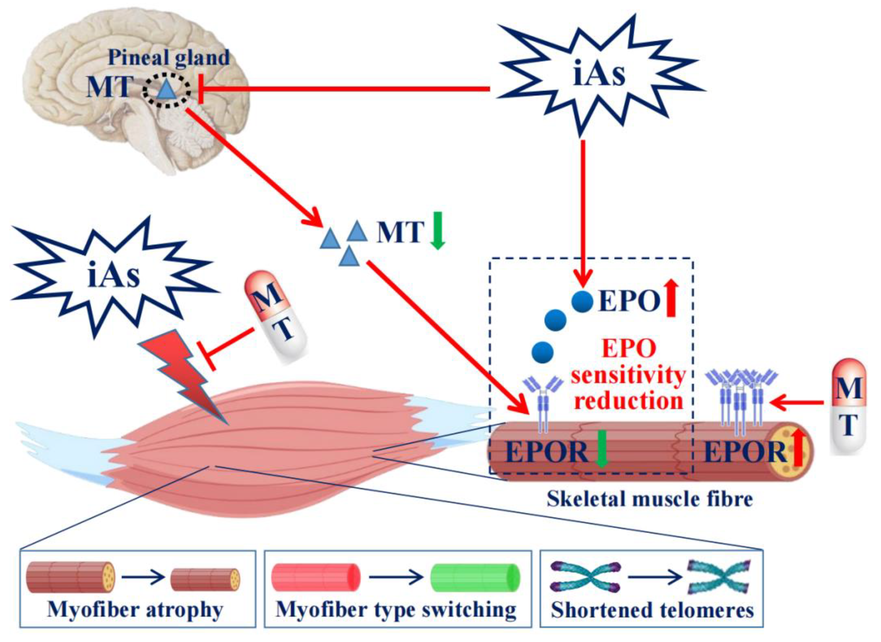 Toxics 11 00689 g010