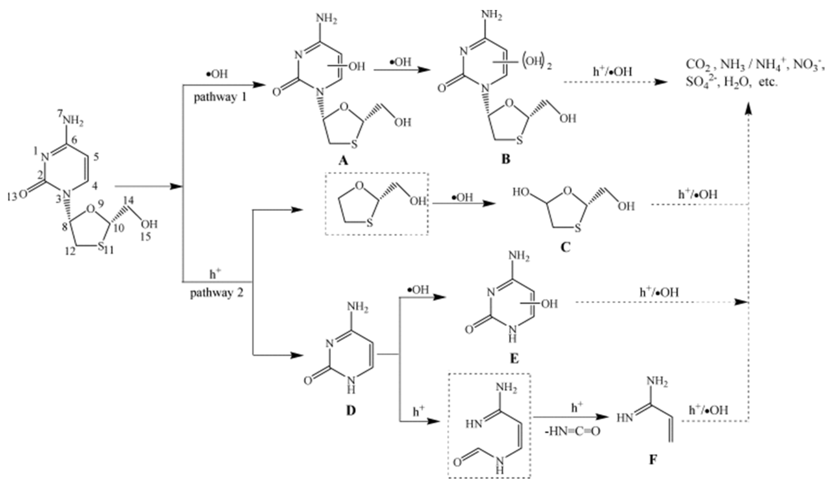 Toxics 11 00692 g001 Toxics 11 00692 g001