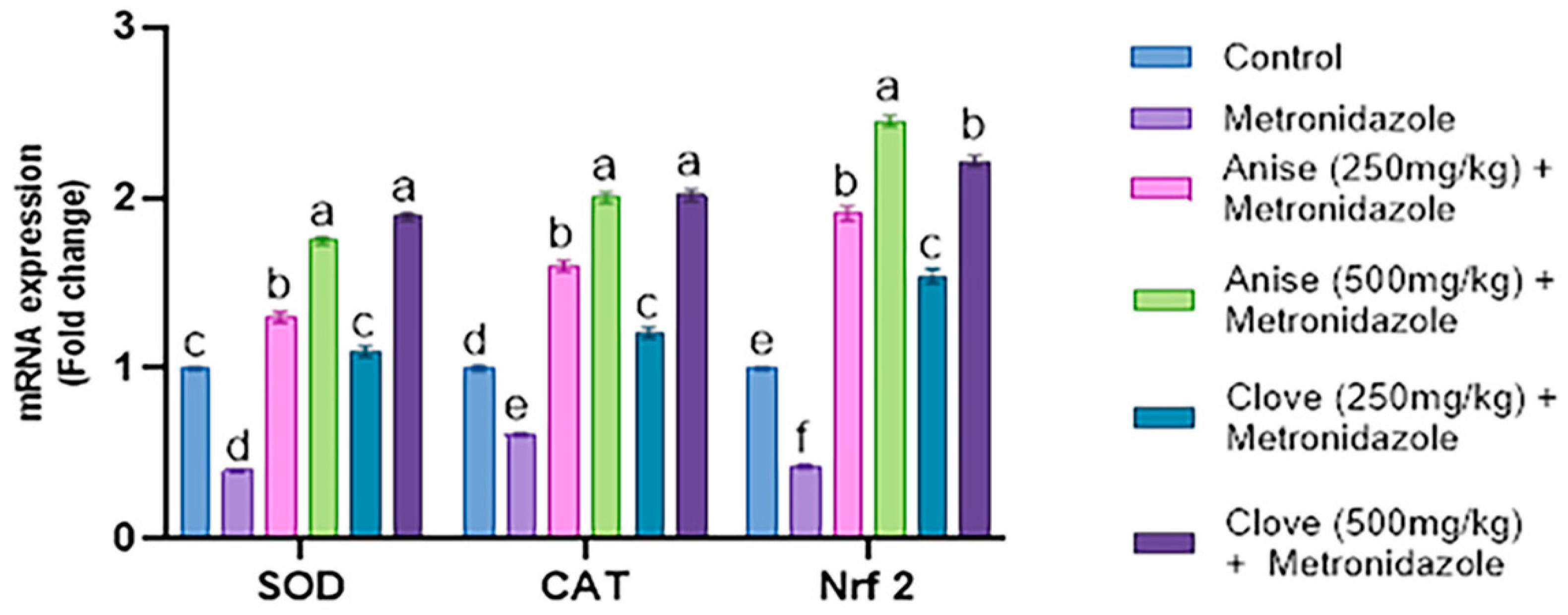 Toxics 11 00724 g002