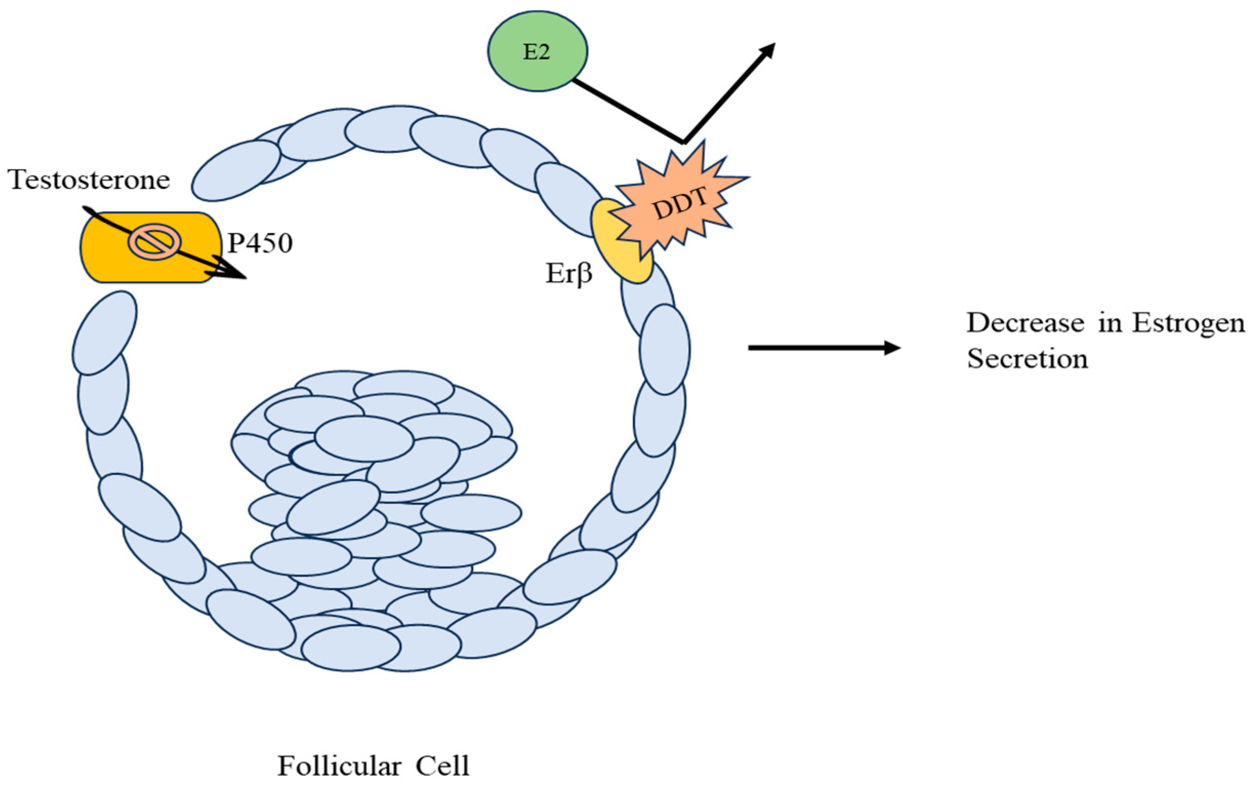 Toxics 11 00725 g002