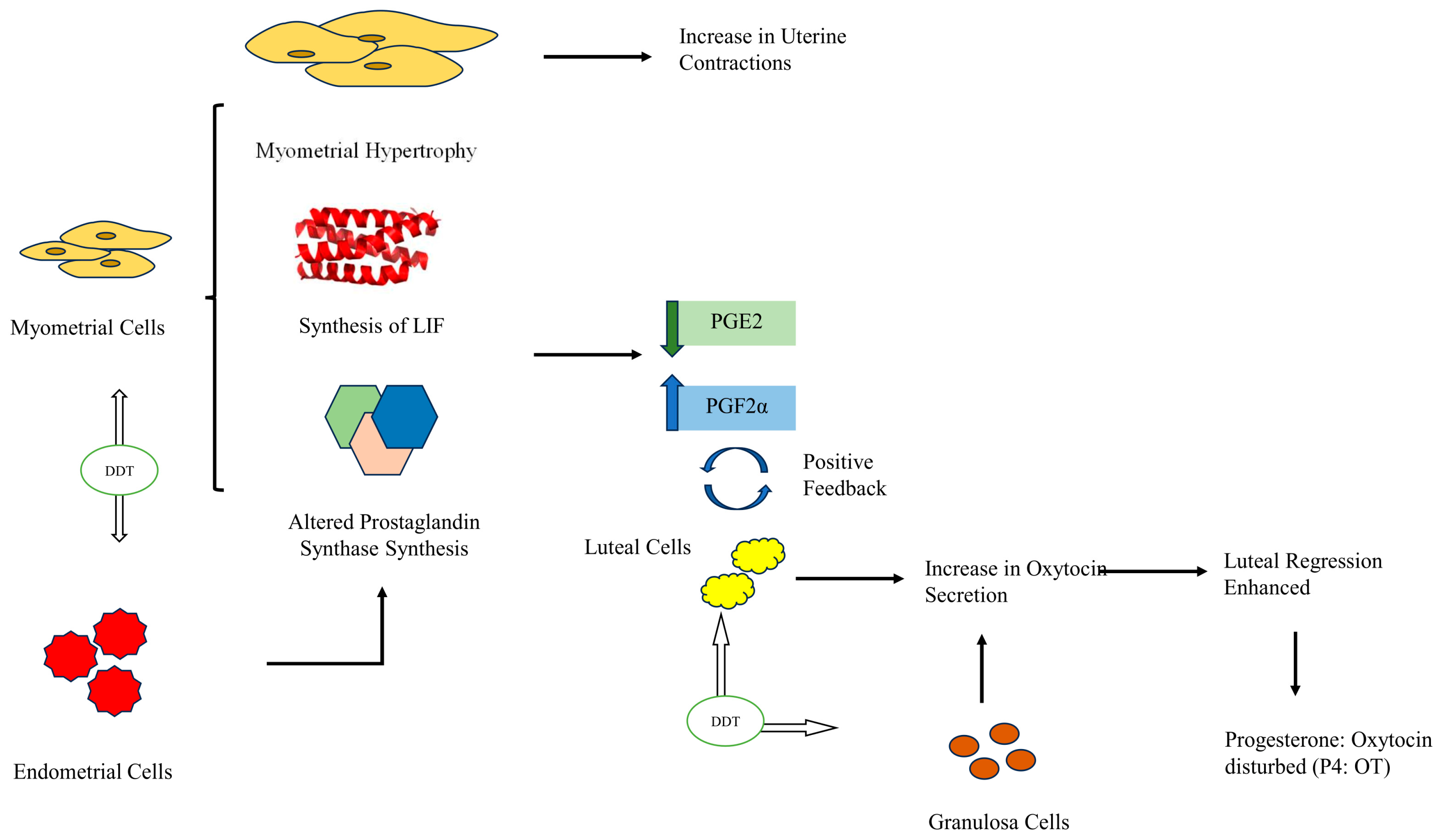 Toxics 11 00725 g003