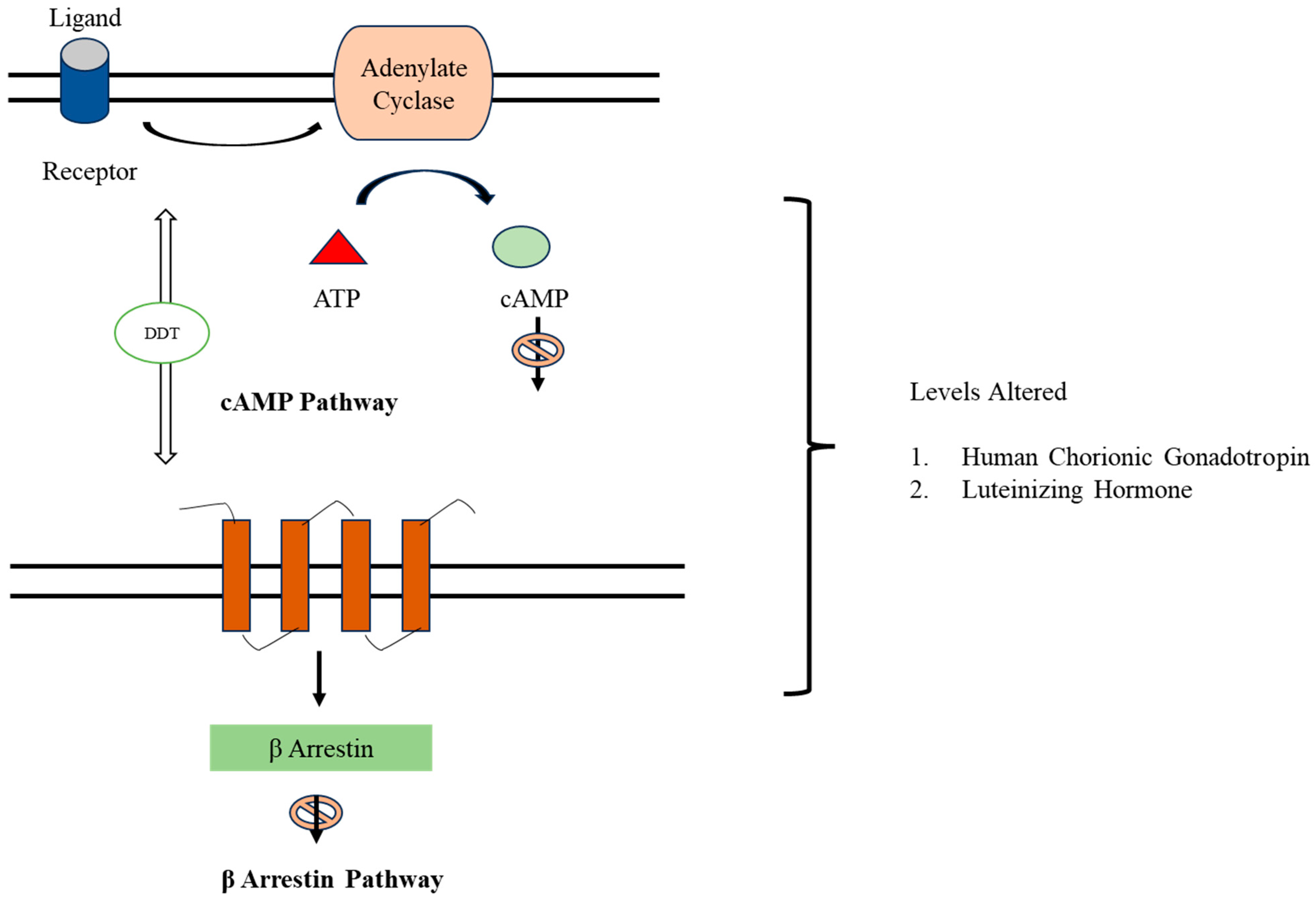 Toxics 11 00725 g006