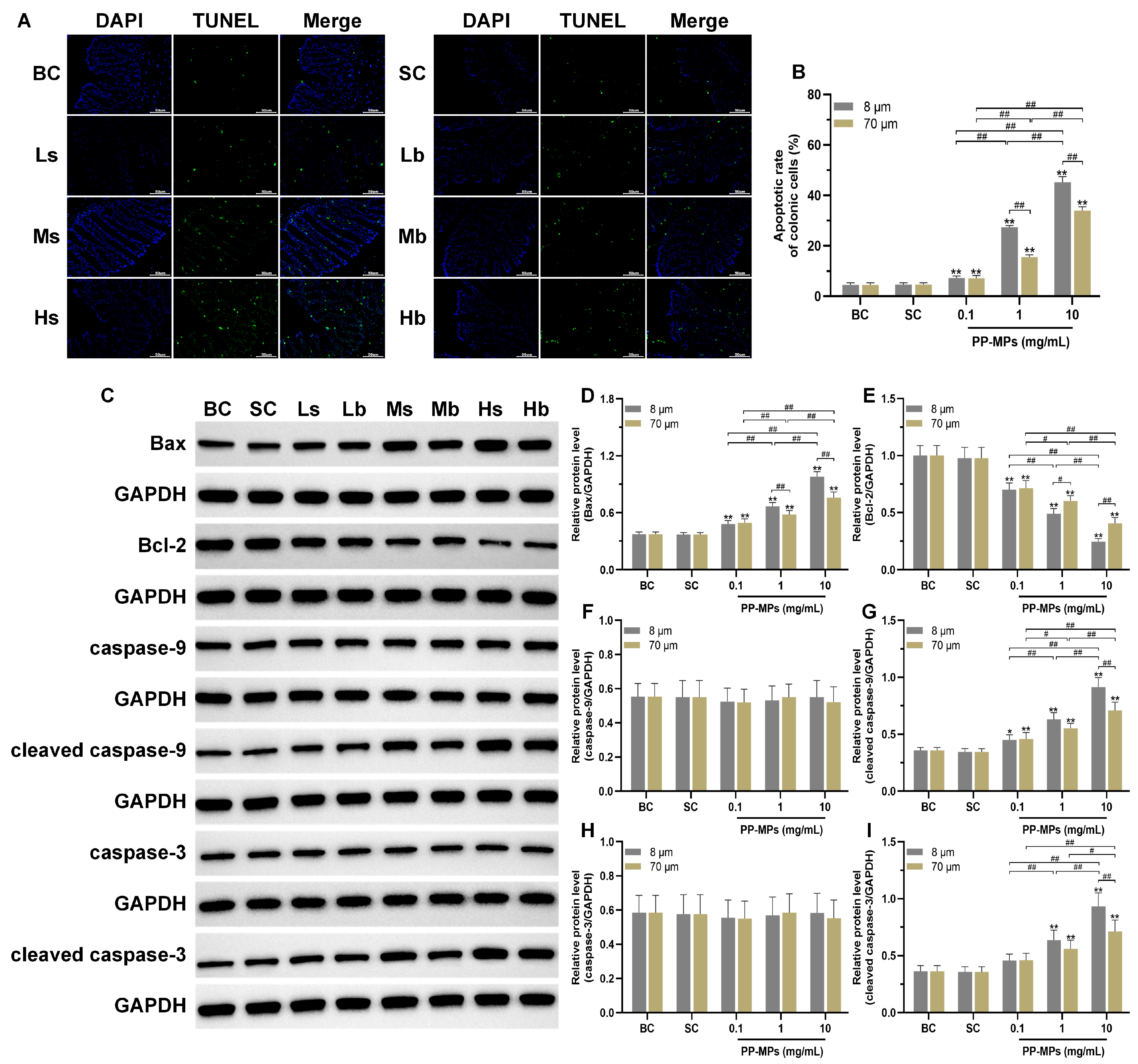 Toxics 11 00733 g006