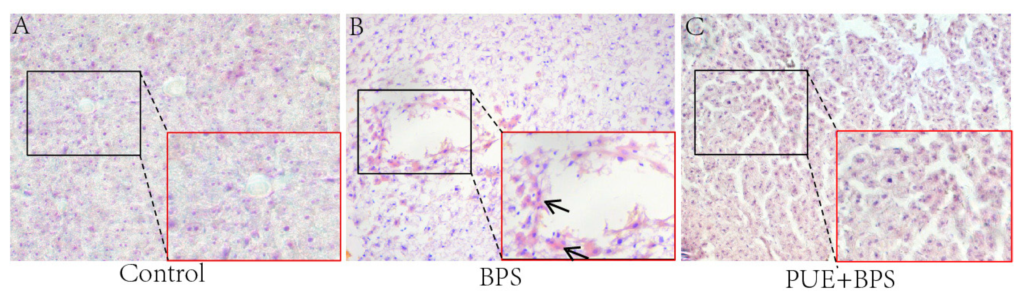 Toxics 11 00736 g006