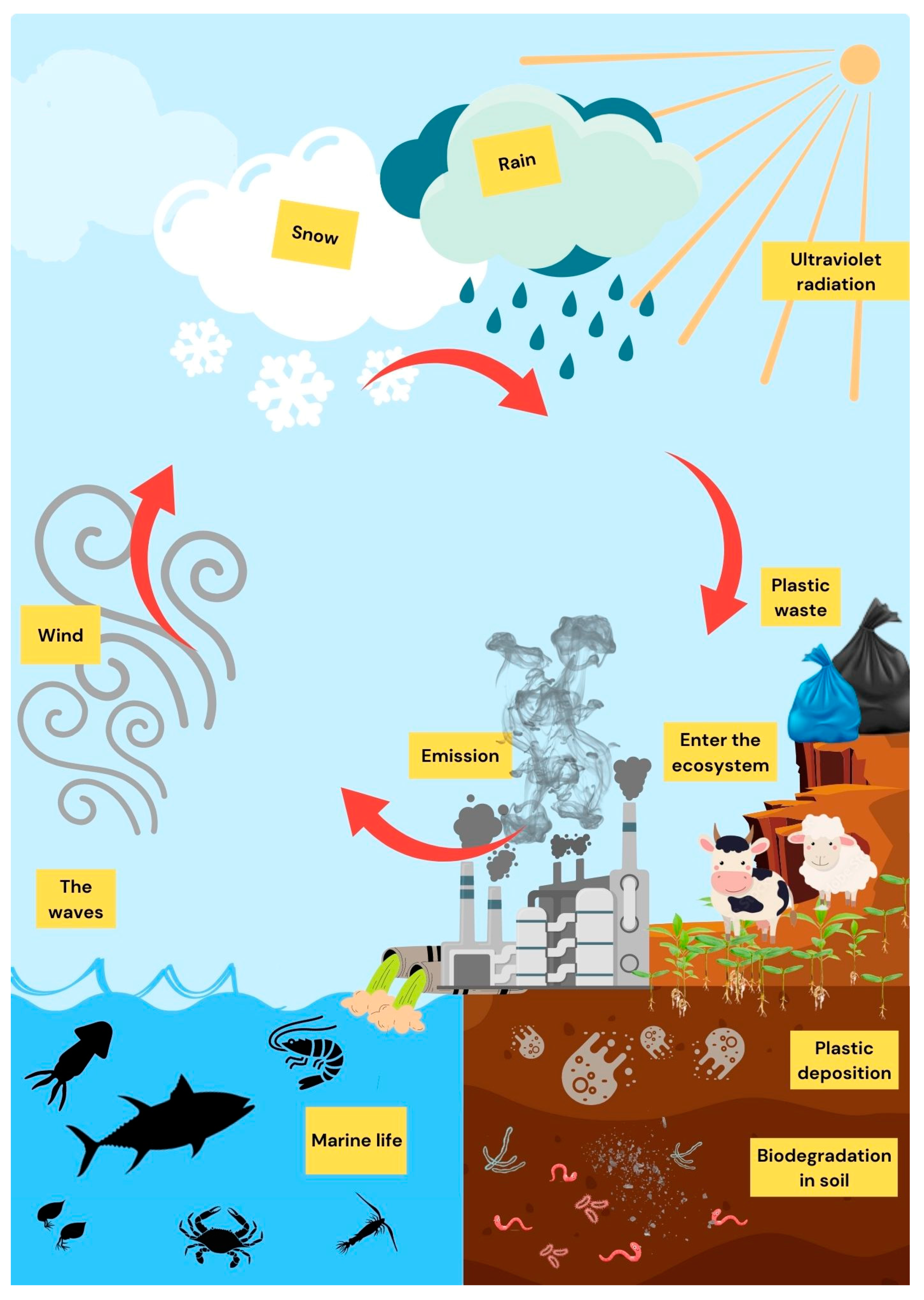 Toxics 11 00747 g002