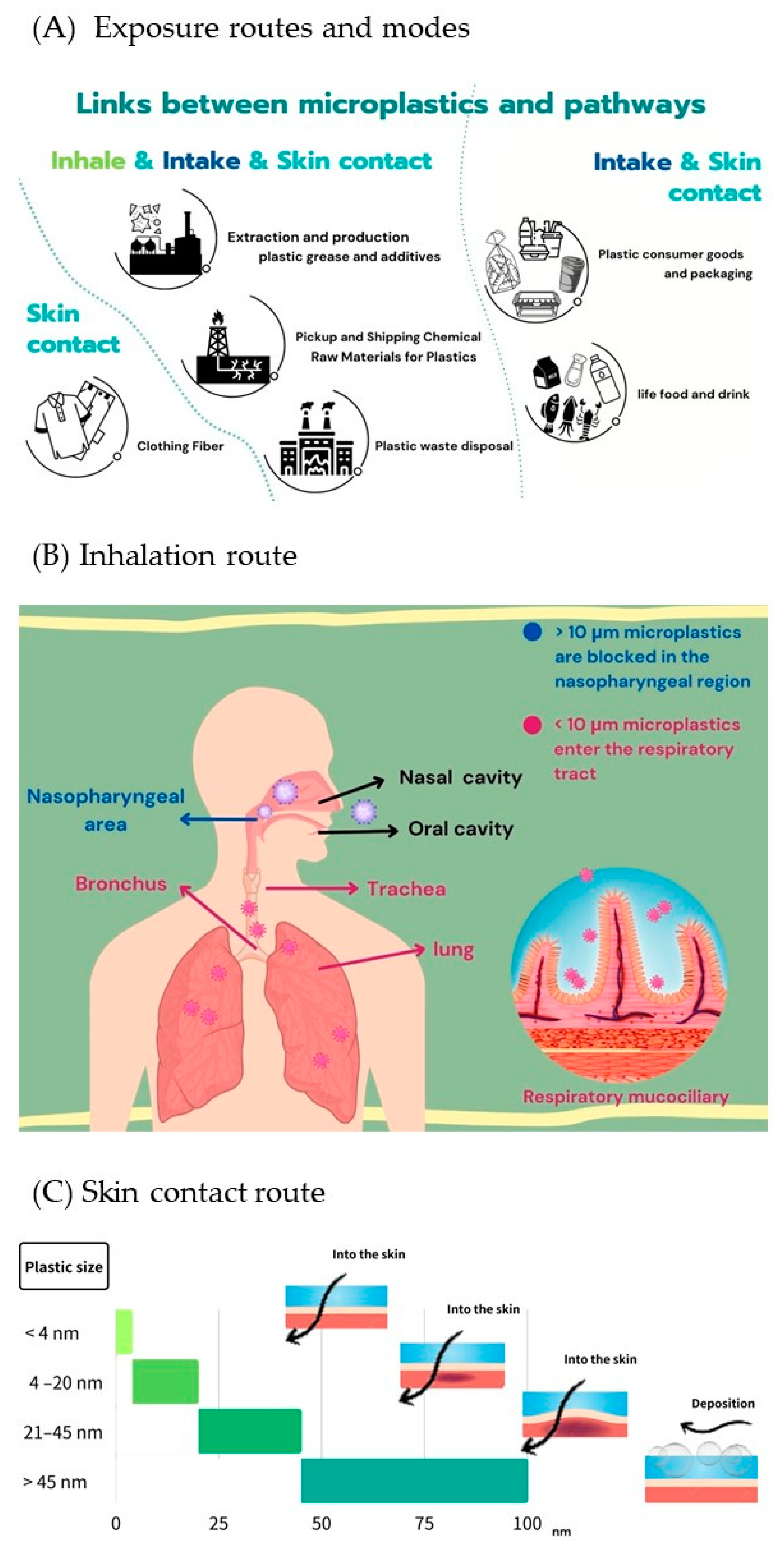 Toxics 11 00747 g003