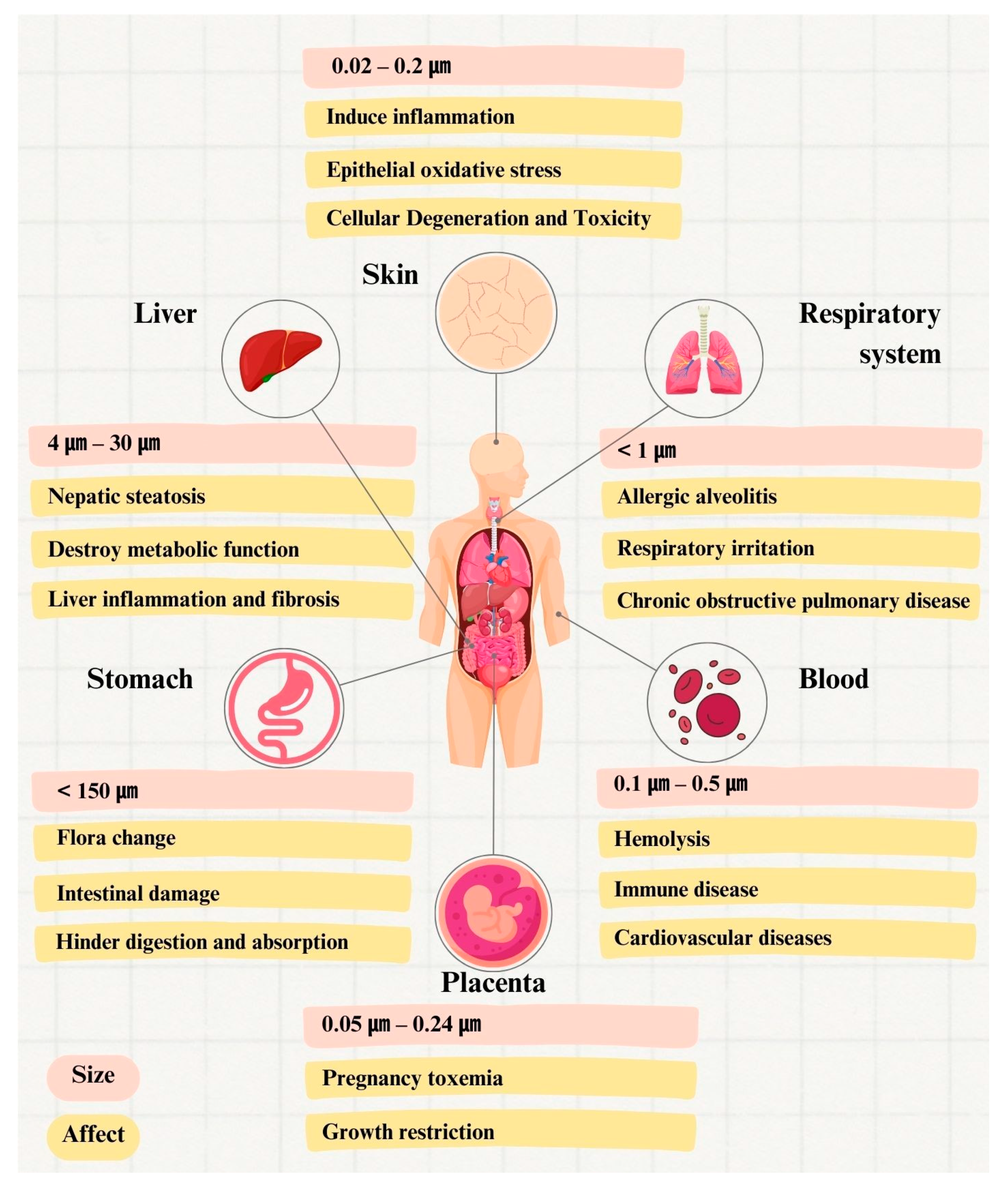 Toxics 11 00747 g004