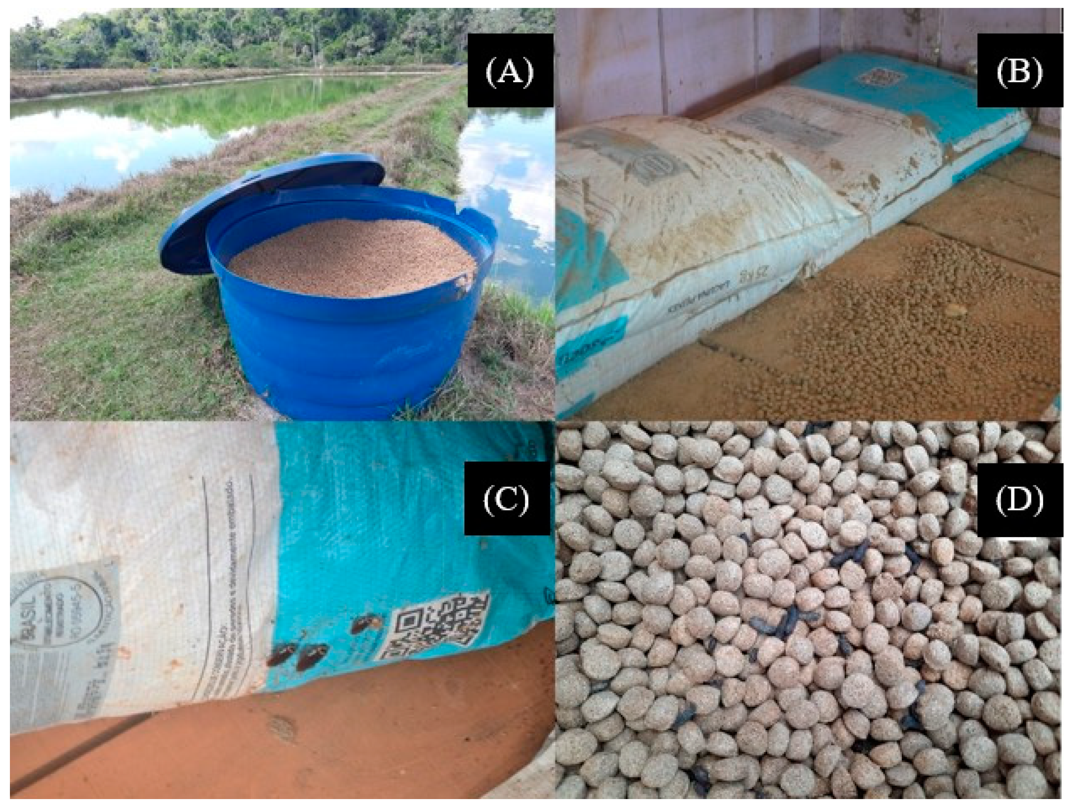 Toxics 11 00762 g001