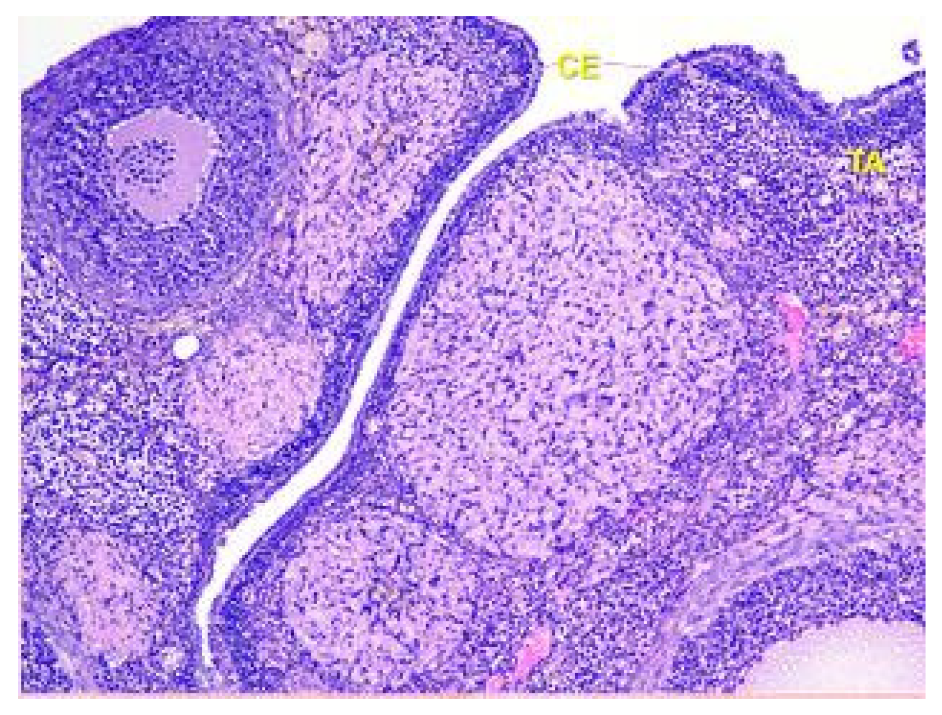 Toxics 11 00769 g001