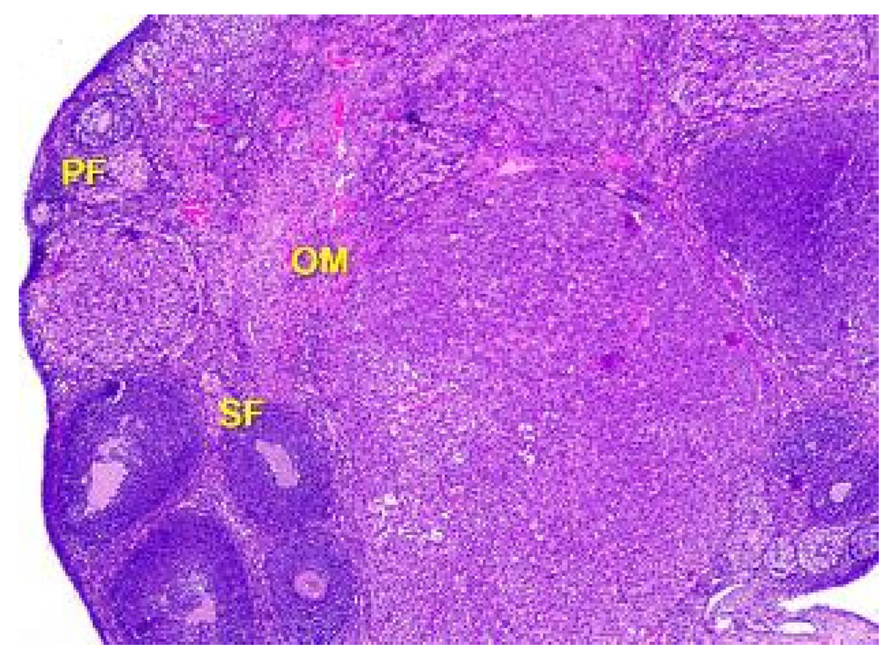 Toxics 11 00769 g005