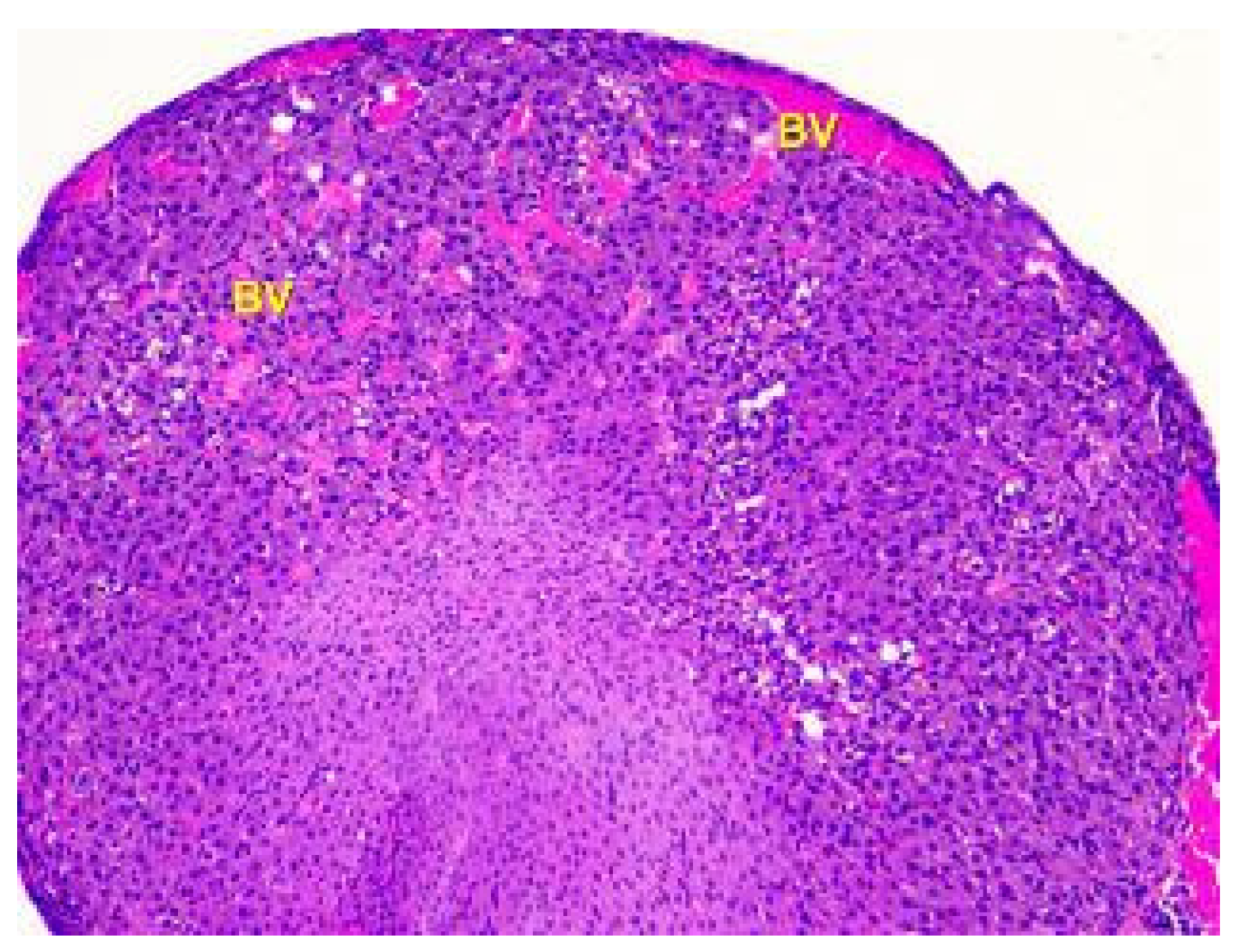 Toxics 11 00769 g008