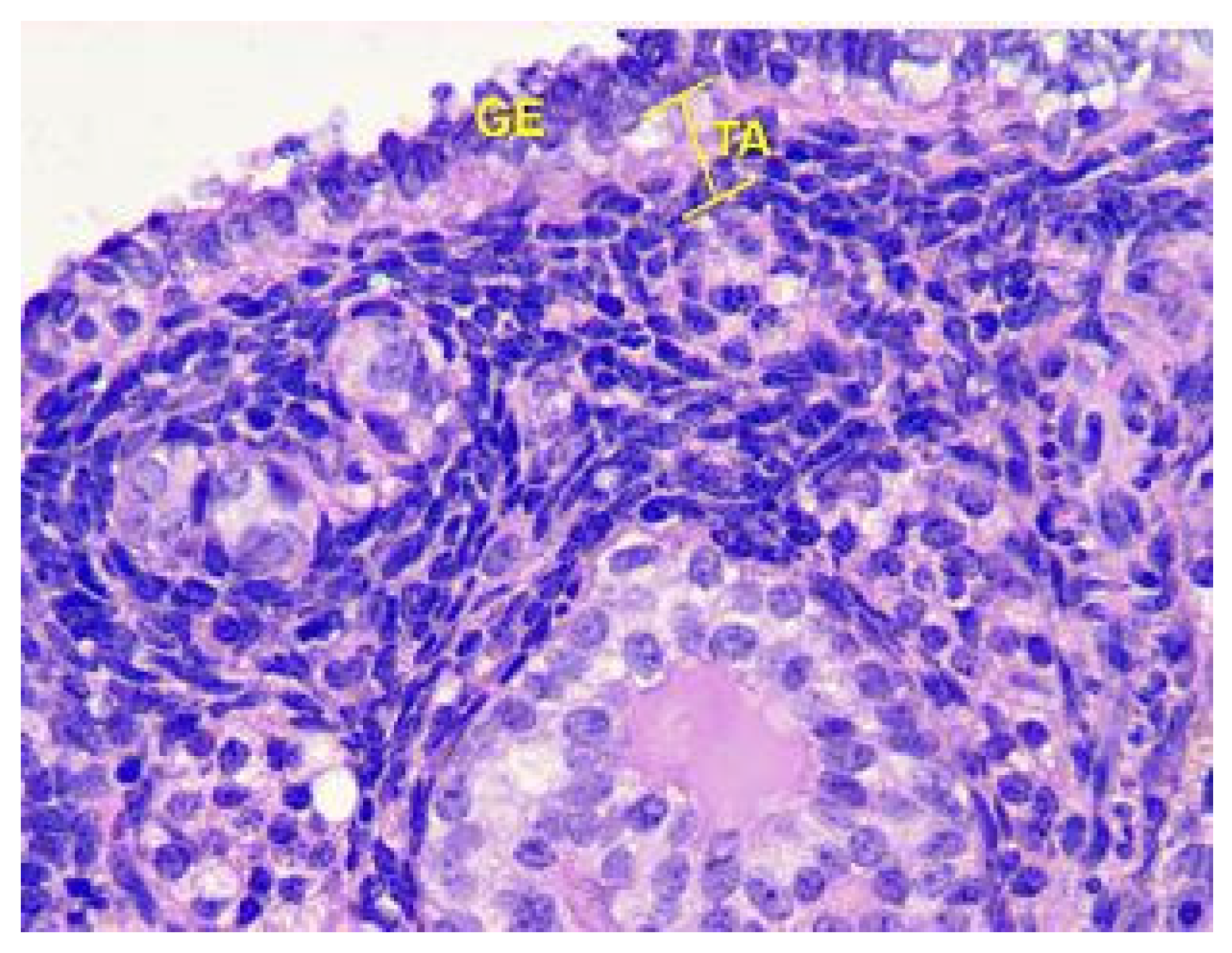 Toxics 11 00769 g009