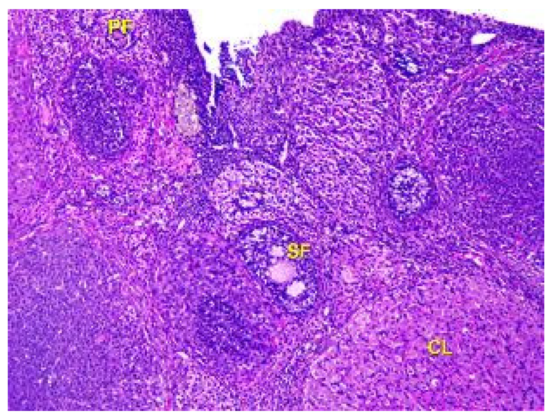 Toxics 11 00769 g010