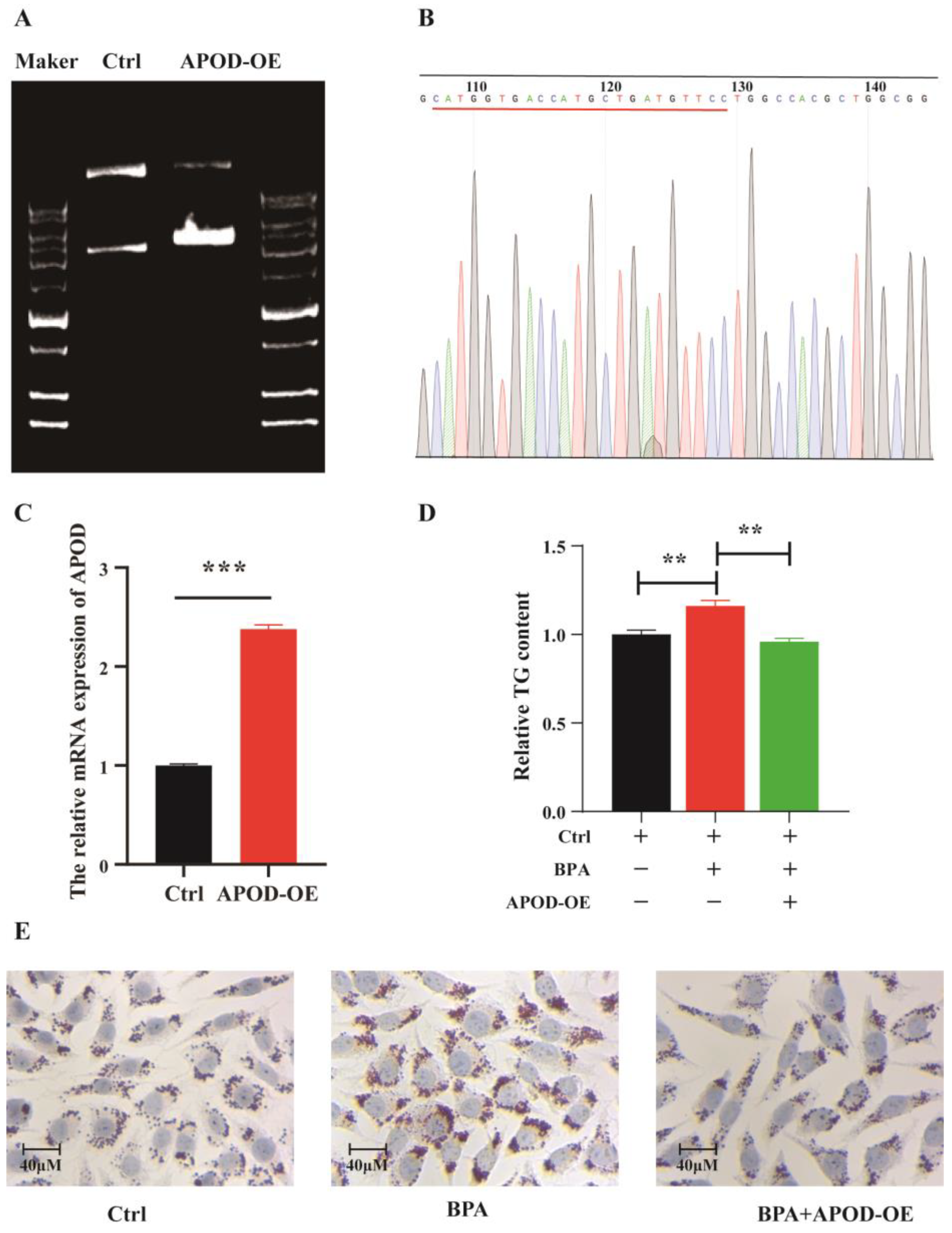 Toxics 11 00775 g005
