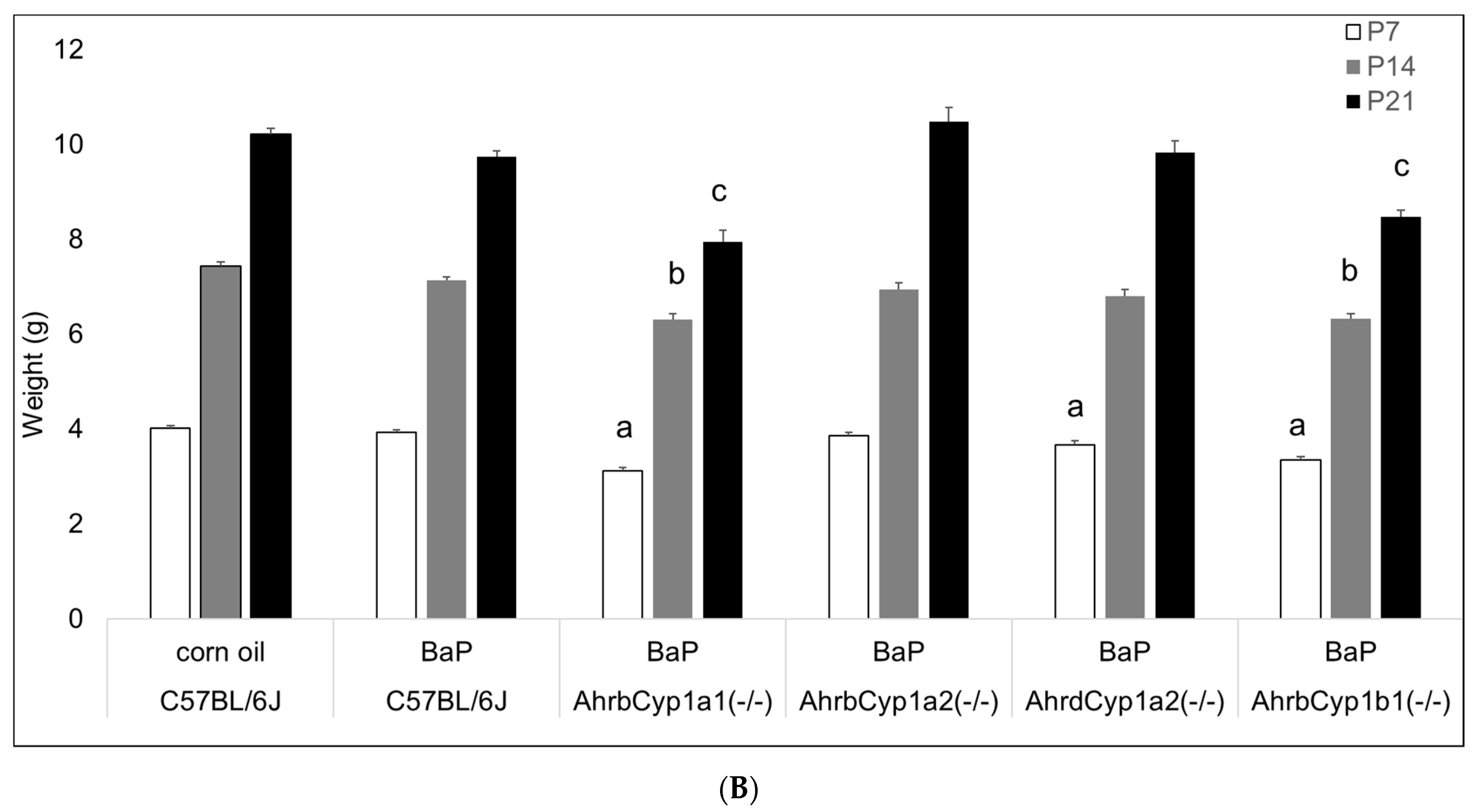 Toxics 11 00778 g003b Toxics 11 00778 g003b