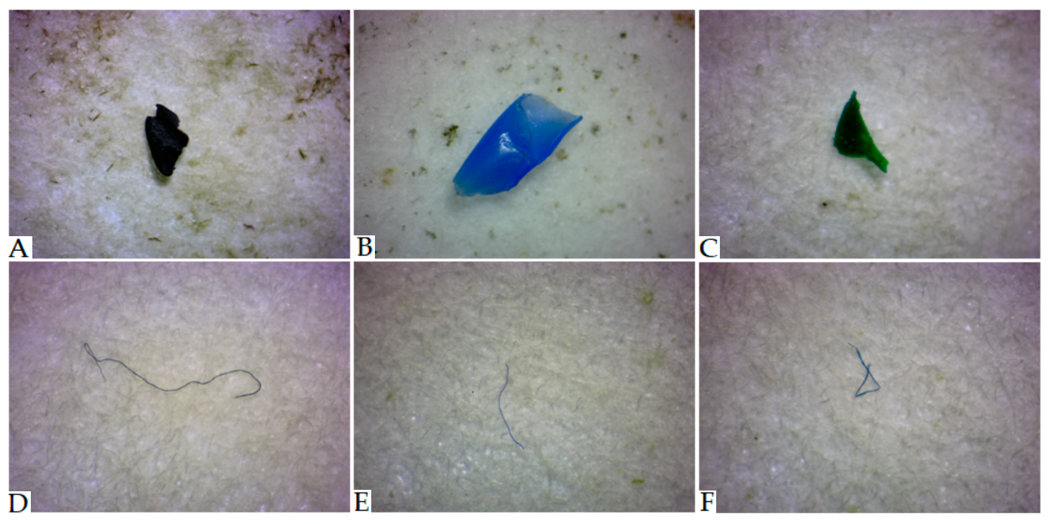 Toxics 11 00779 g001