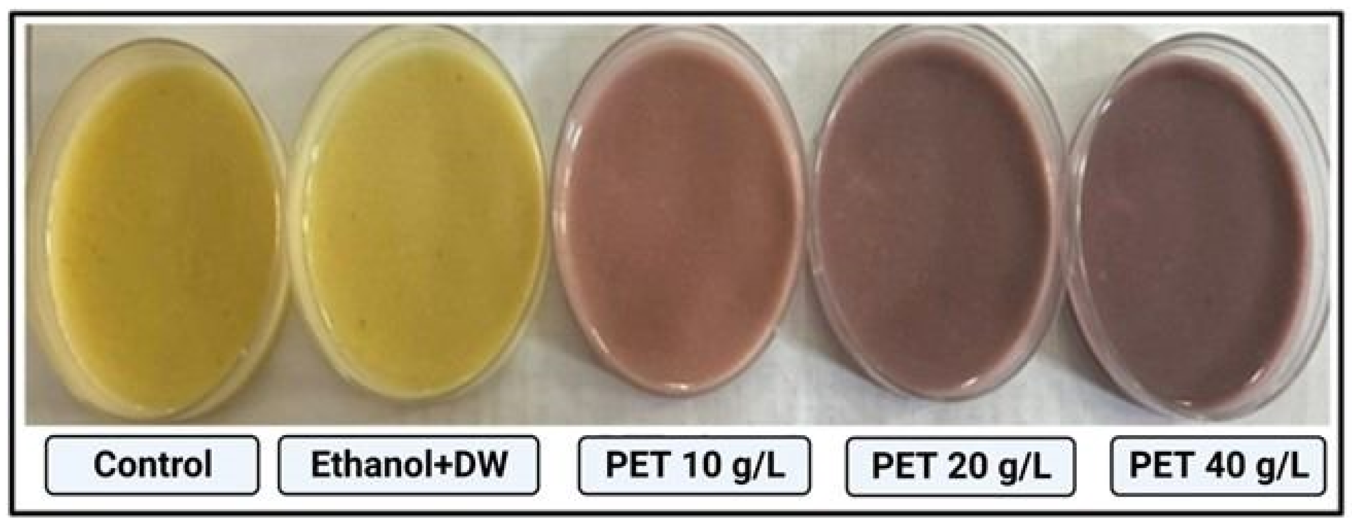 Toxics 11 00782 g001 Toxics 11 00782 g001