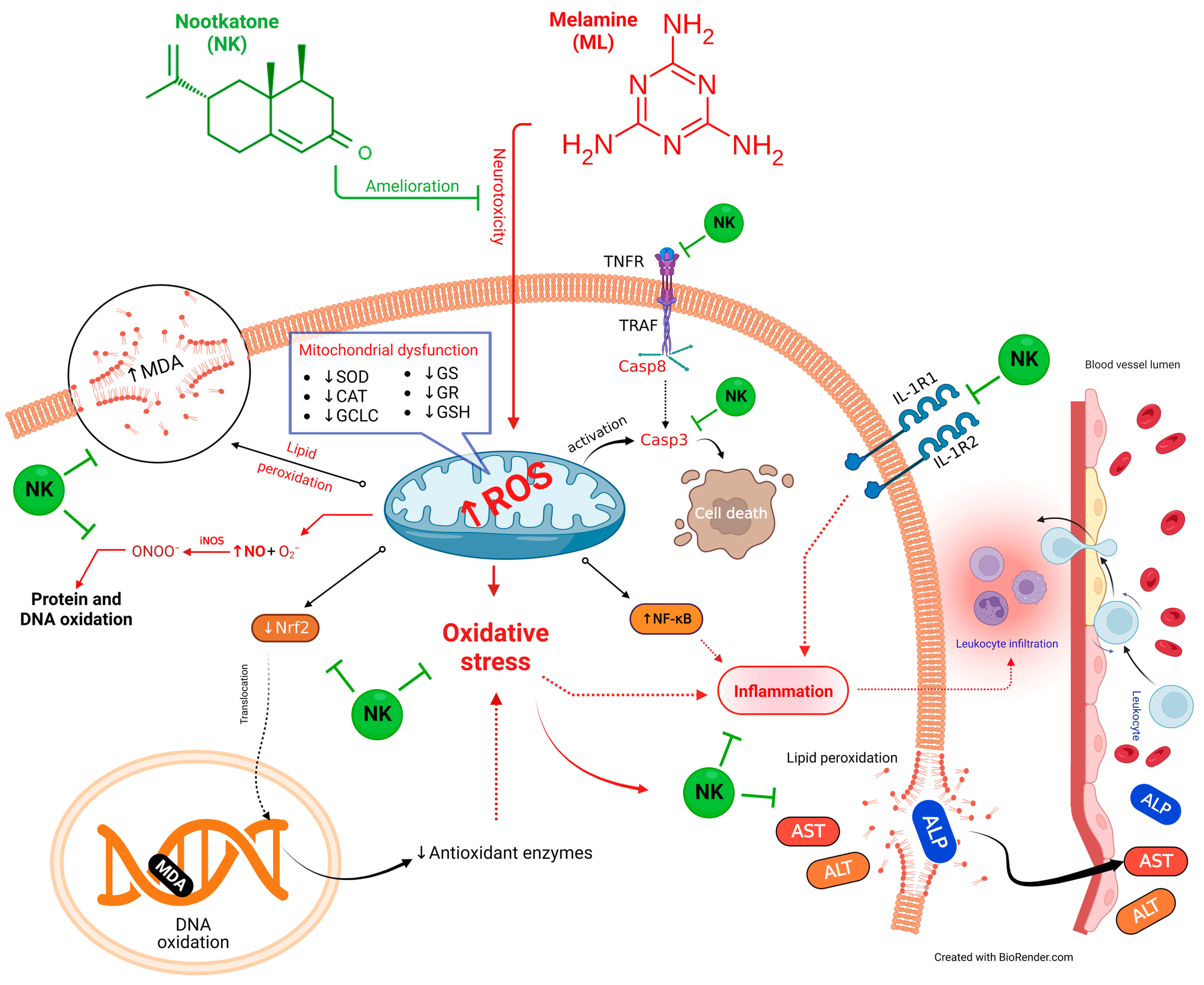 Toxics 11 00784 g009