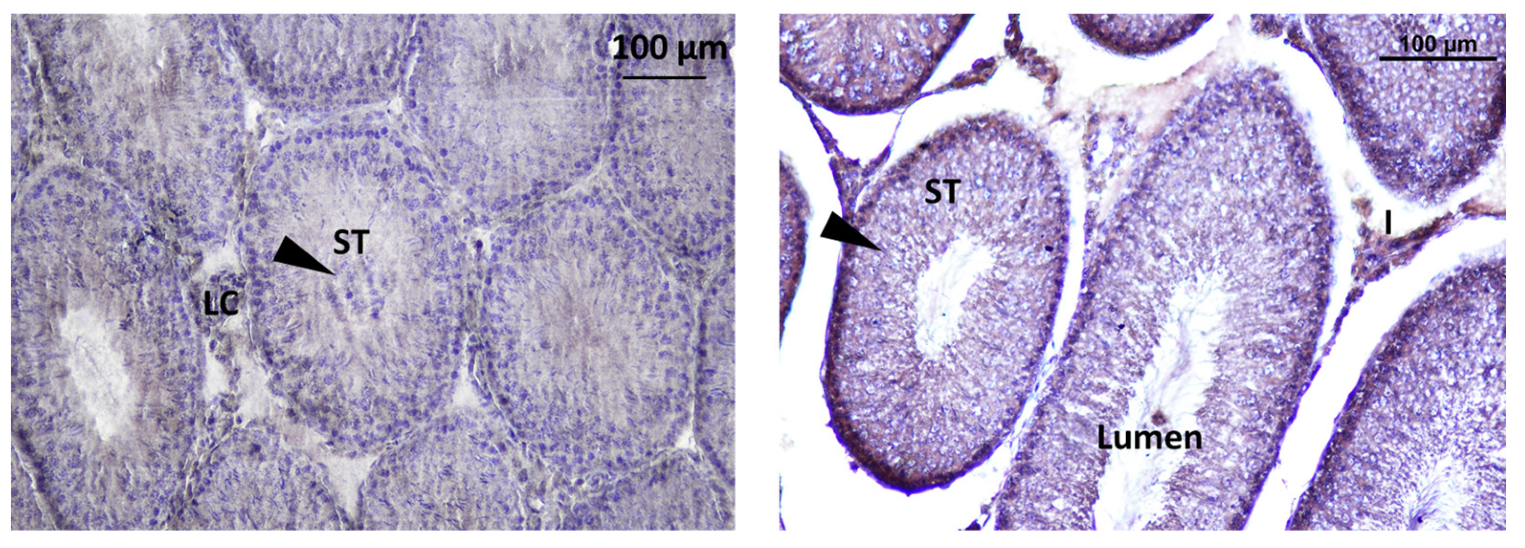 Toxics 11 00789 g012