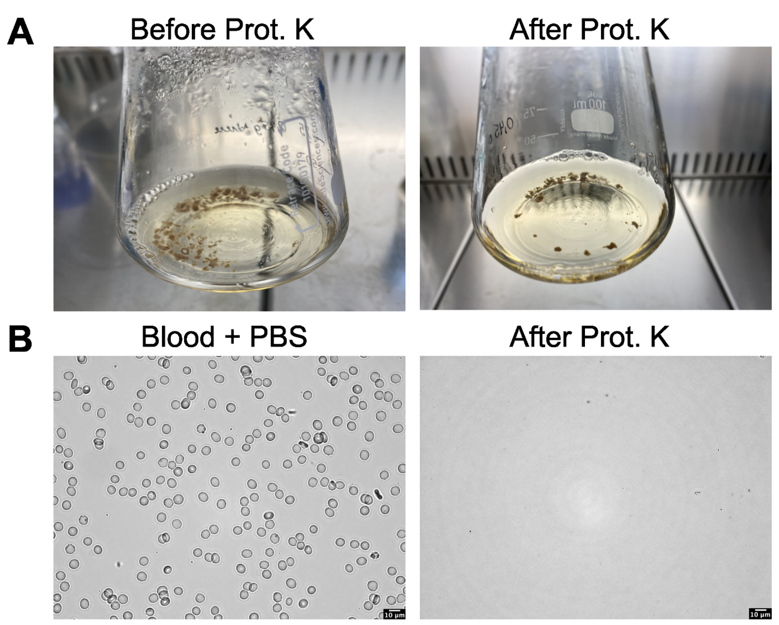 Toxics 11 00790 g001