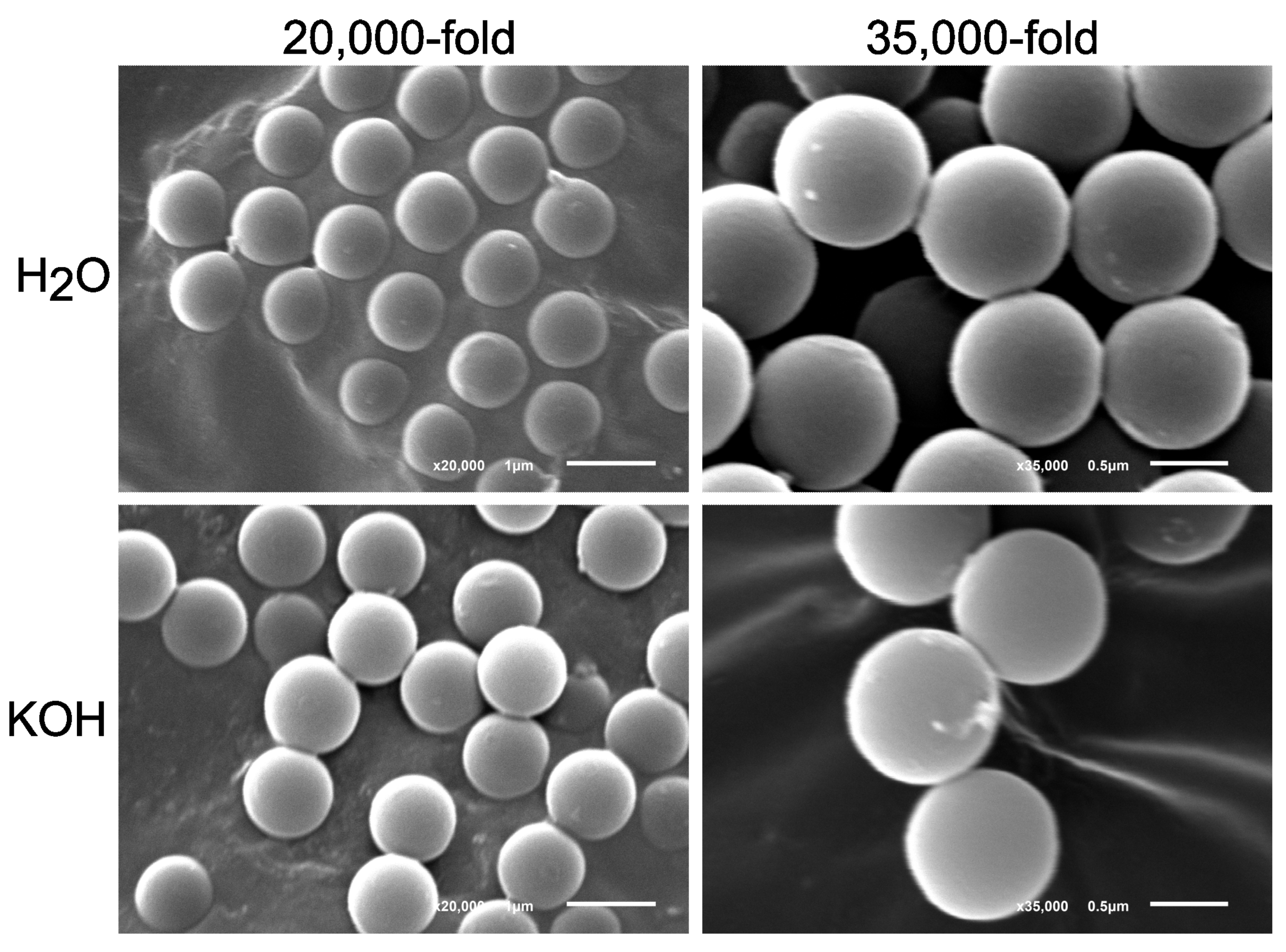 Toxics 11 00790 g006