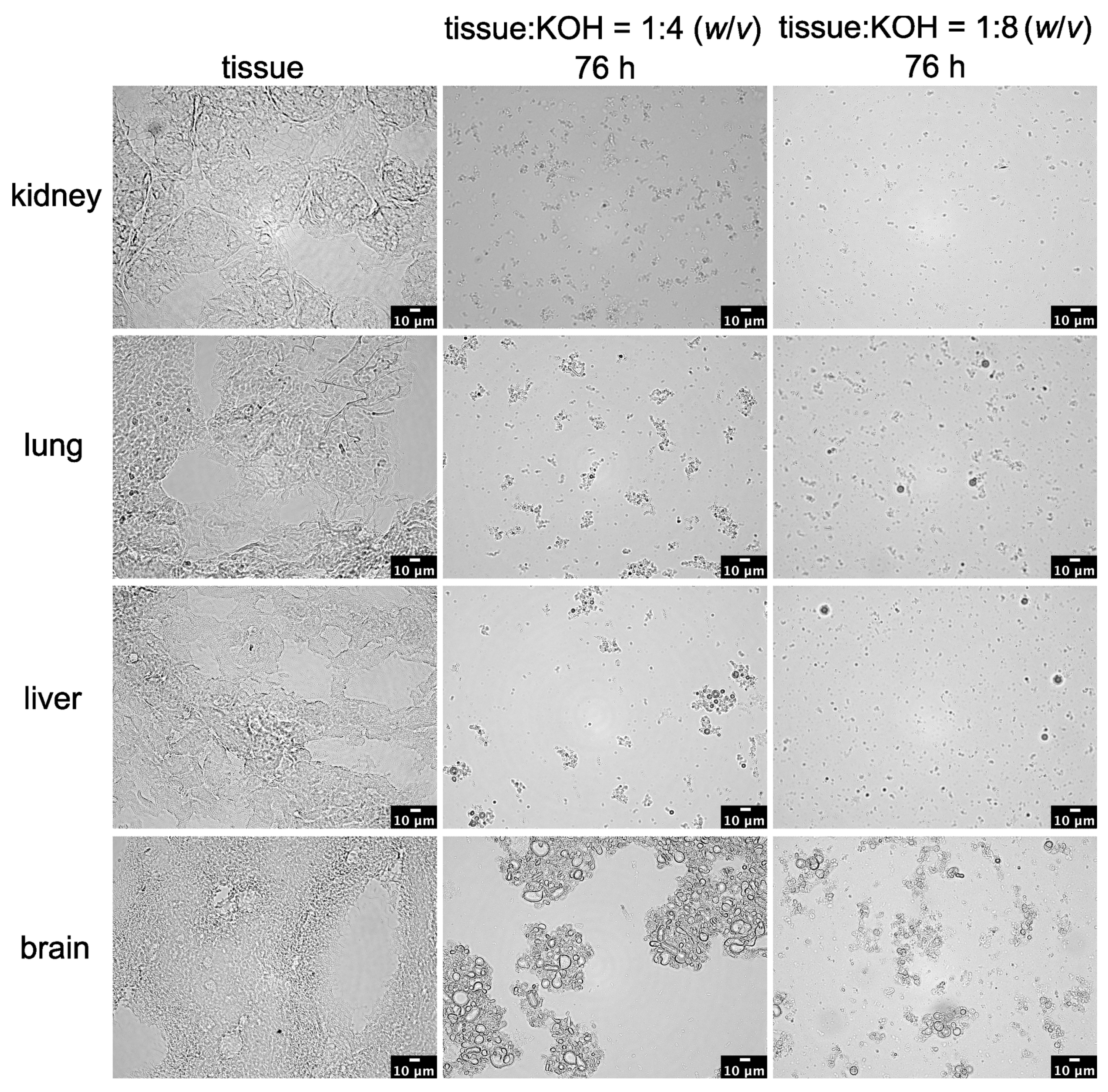 Toxics 11 00790 g007