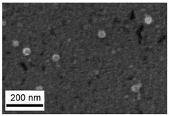 Toxics 11 00791 i005