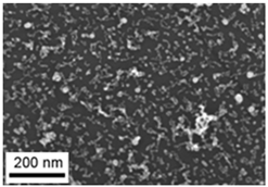 Toxics 11 00791 i013