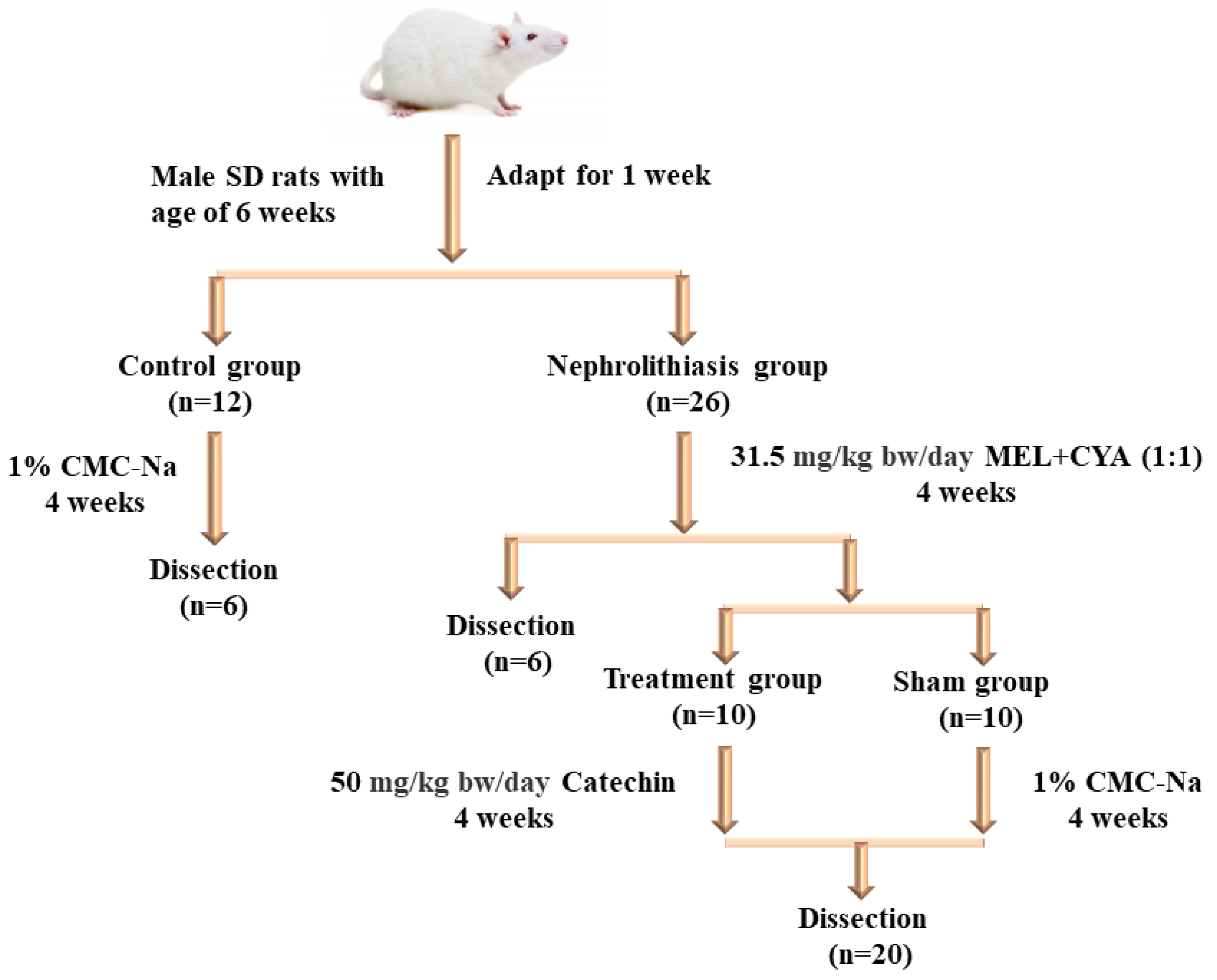 Toxics 11 00799 g001