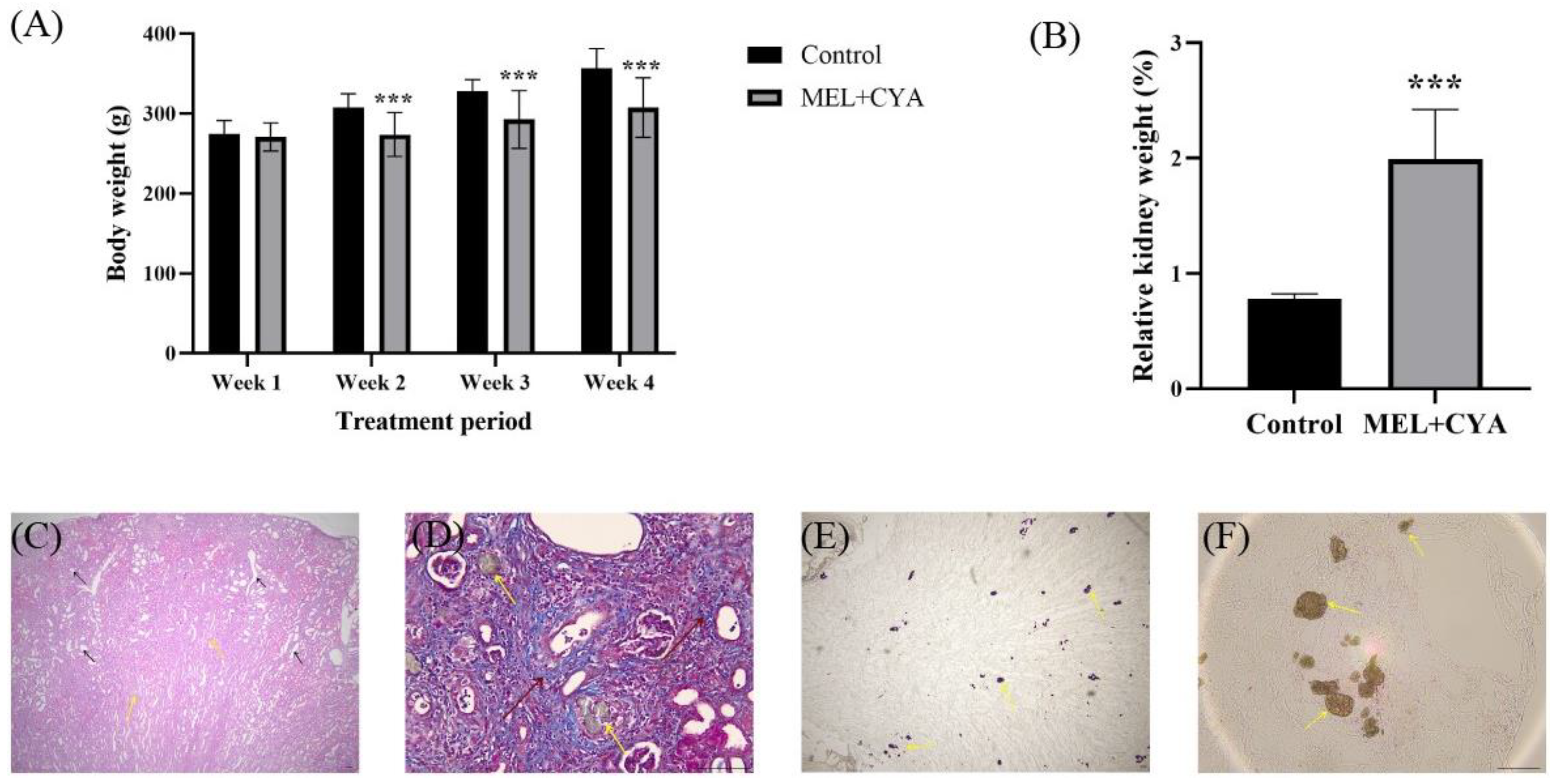 Toxics 11 00799 g002