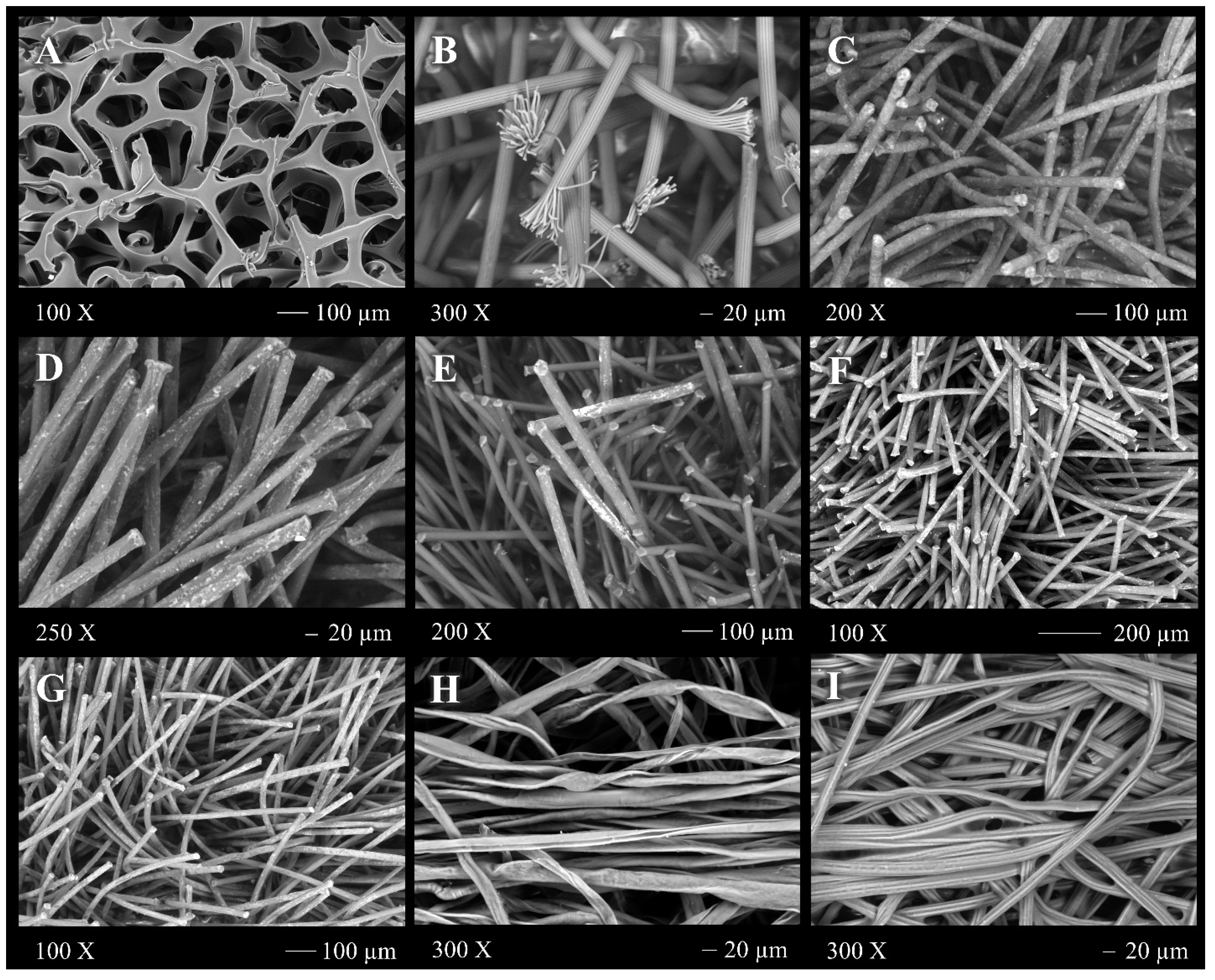 Toxics 11 00805 g001