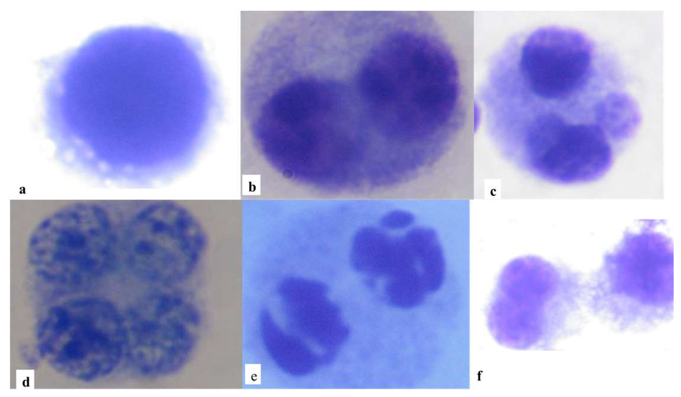 Toxics 11 00807 g002