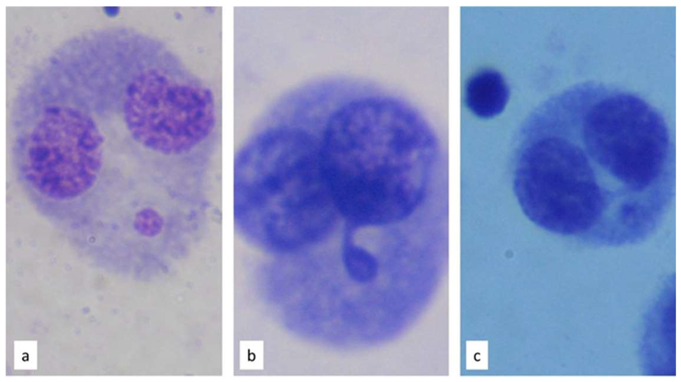 Toxics 11 00807 g003