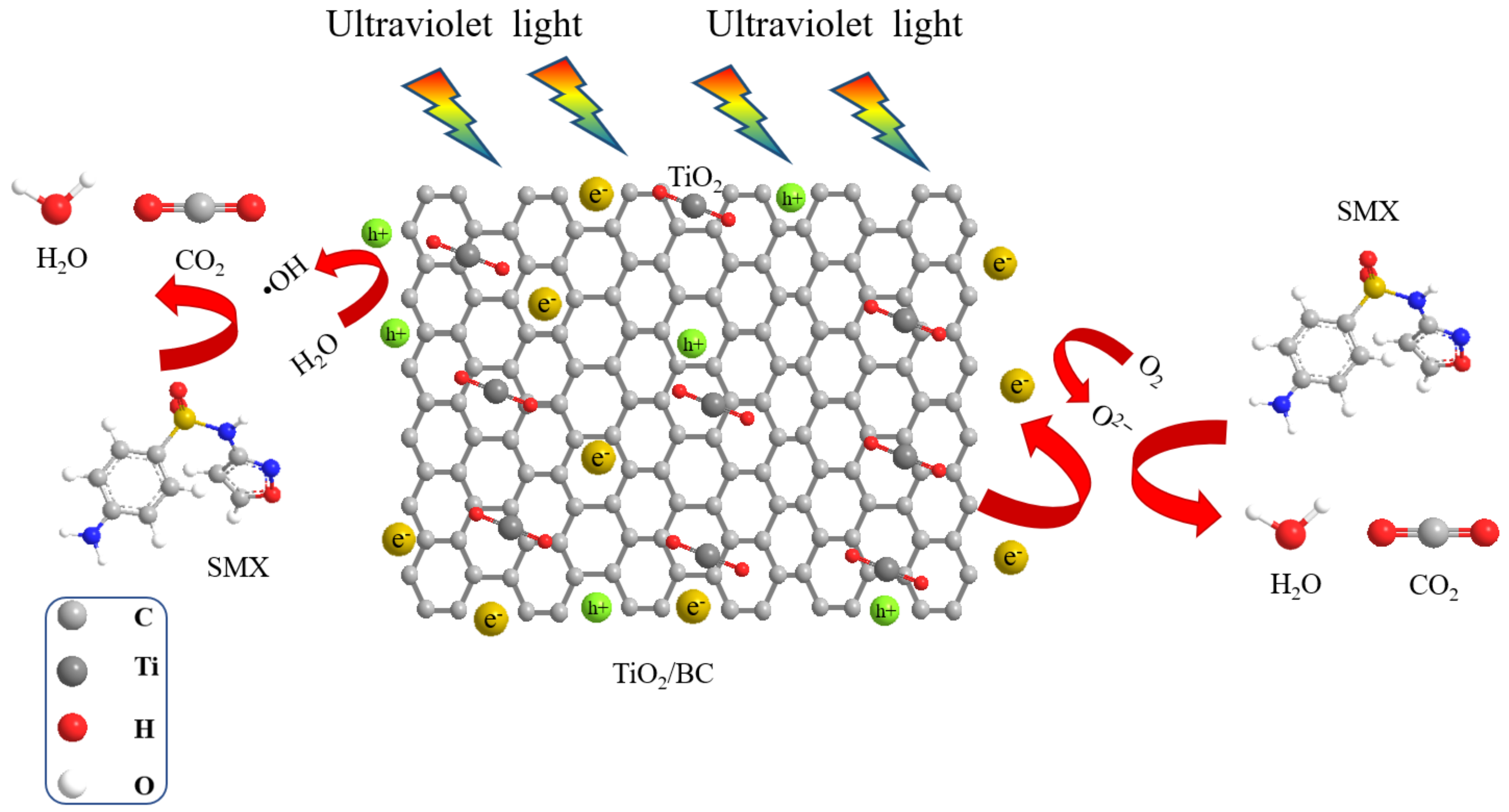 Toxics 11 00818 g008