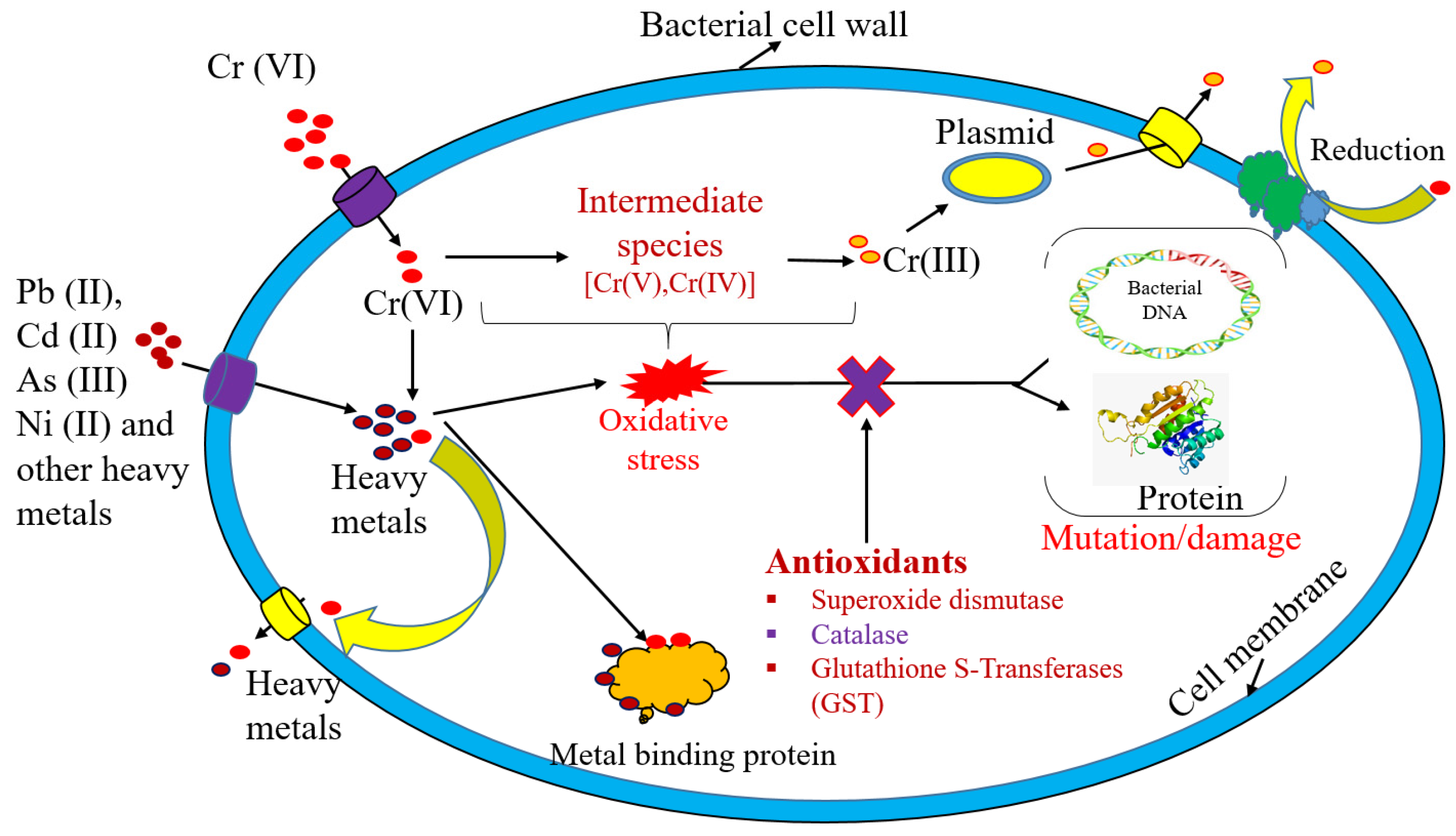 Toxics 11 00828 g003