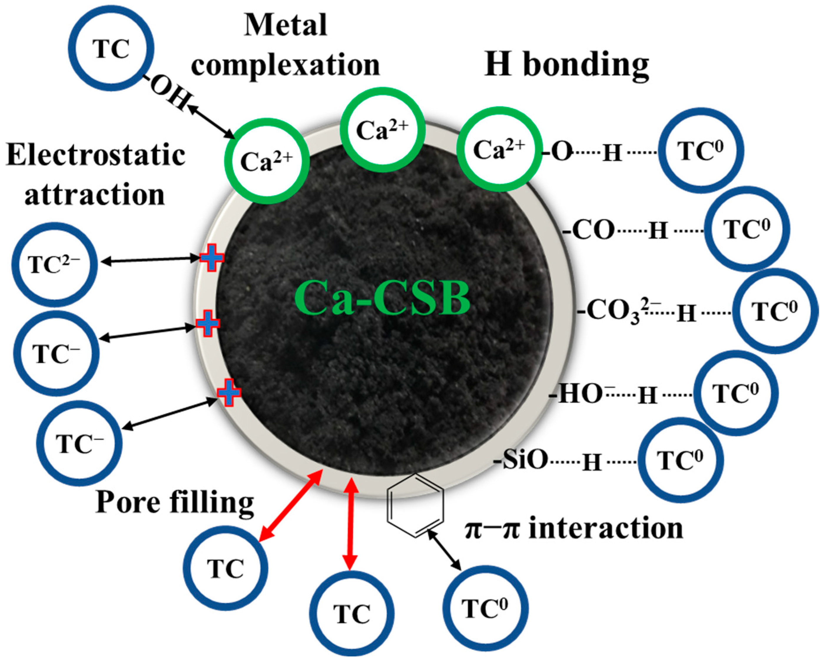 Toxics 11 00841 g005