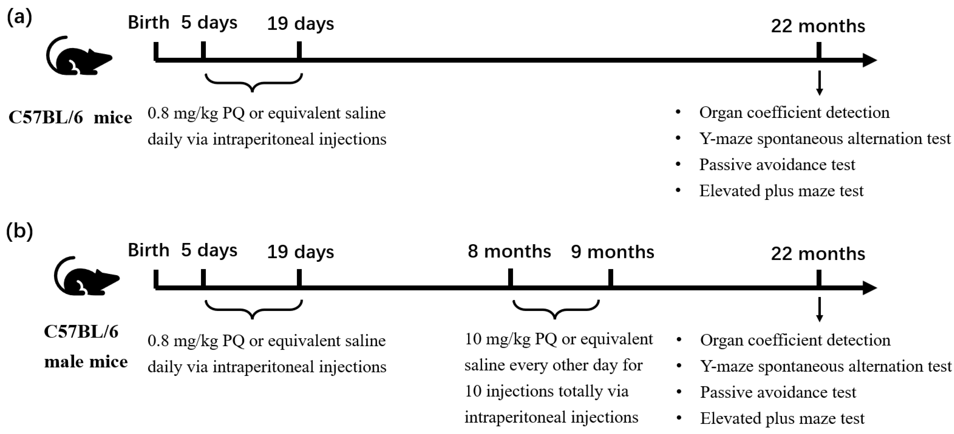 Toxics 11 00842 g001