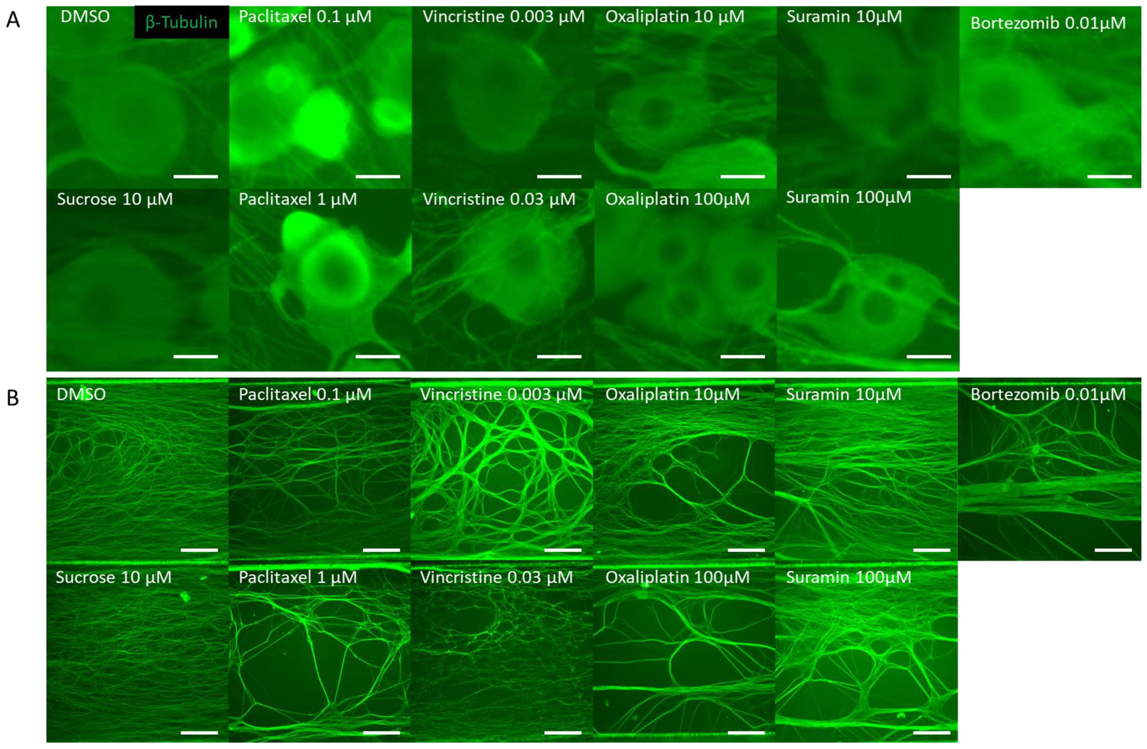 Toxics 11 00848 g002 Toxics 11 00848 g002
