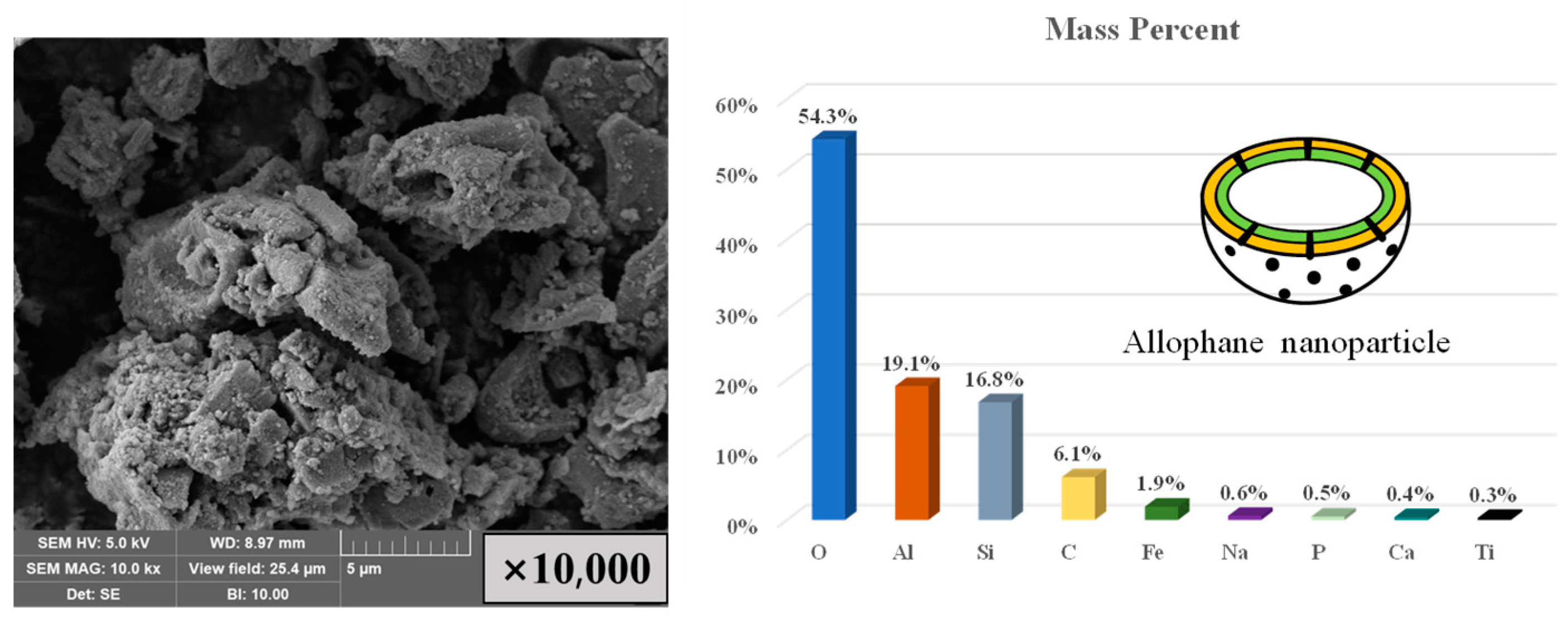 Toxics 11 00850 g001