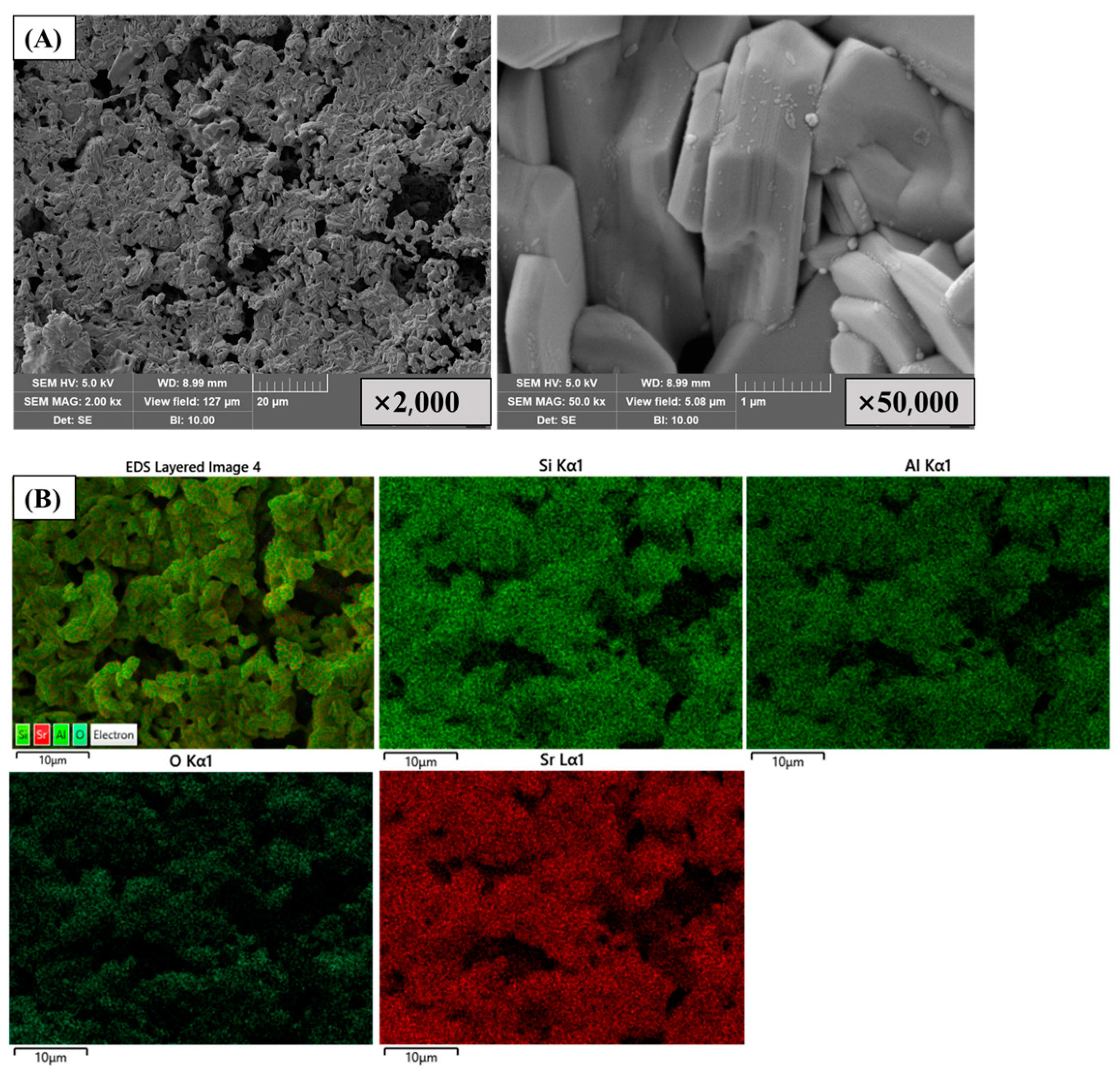 Toxics 11 00850 g005