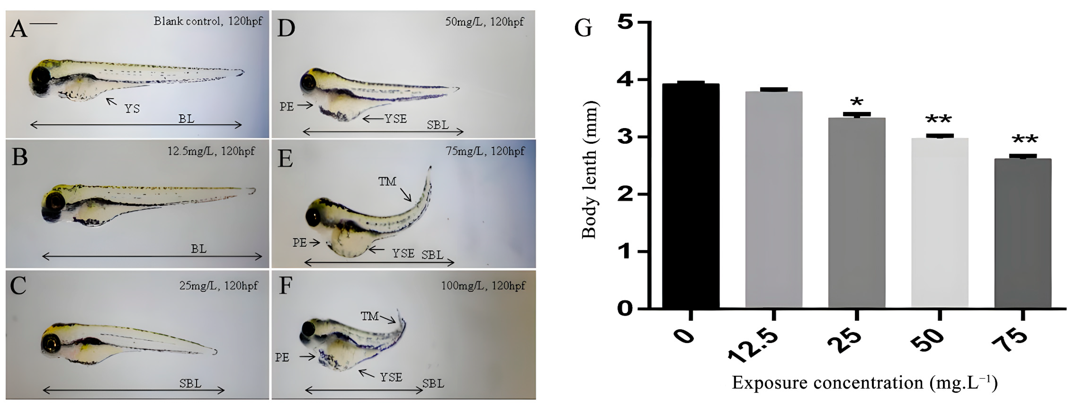 Toxics 11 00853 g001