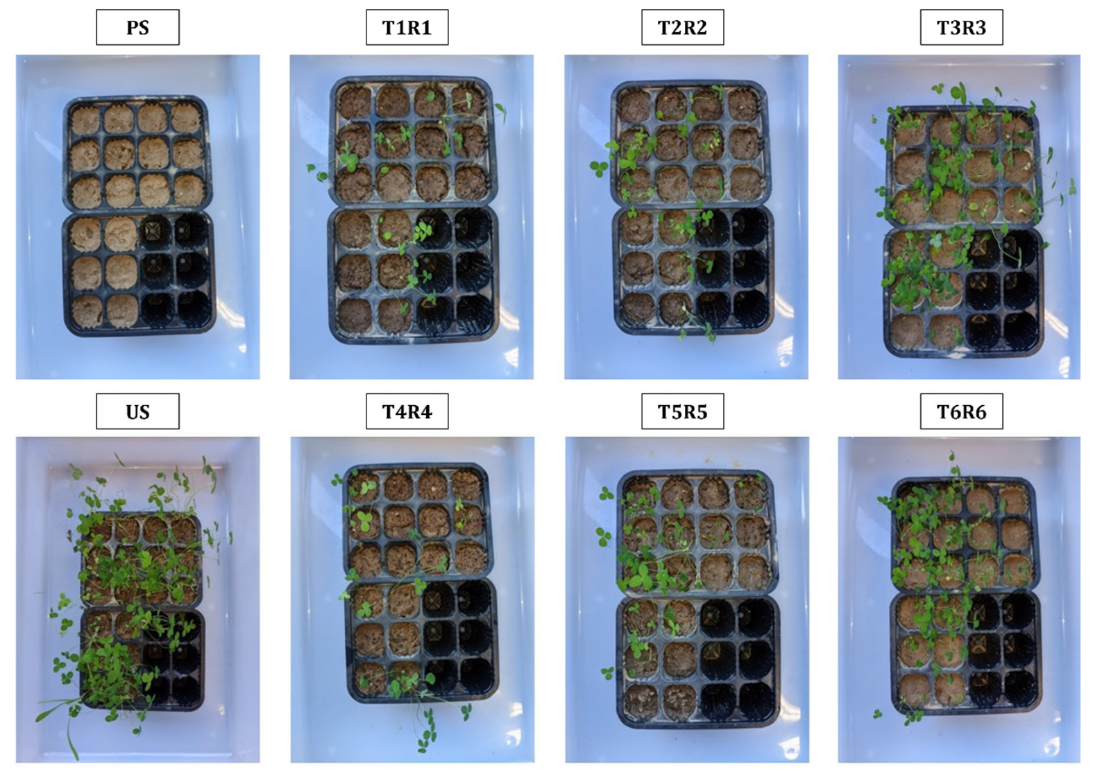 Toxics 11 00854 g001