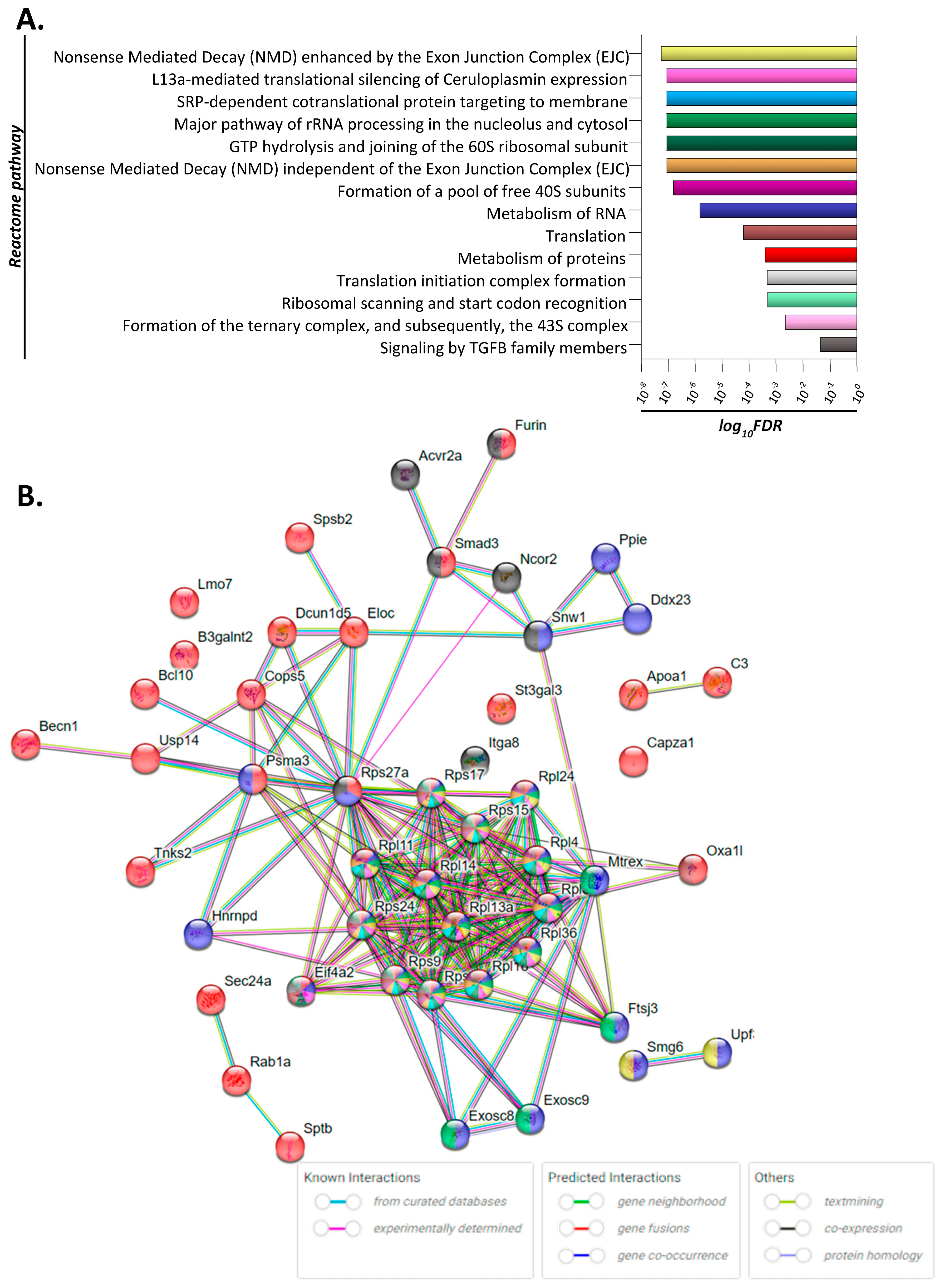 Toxics 11 00856 g001 Toxics 11 00856 g001
